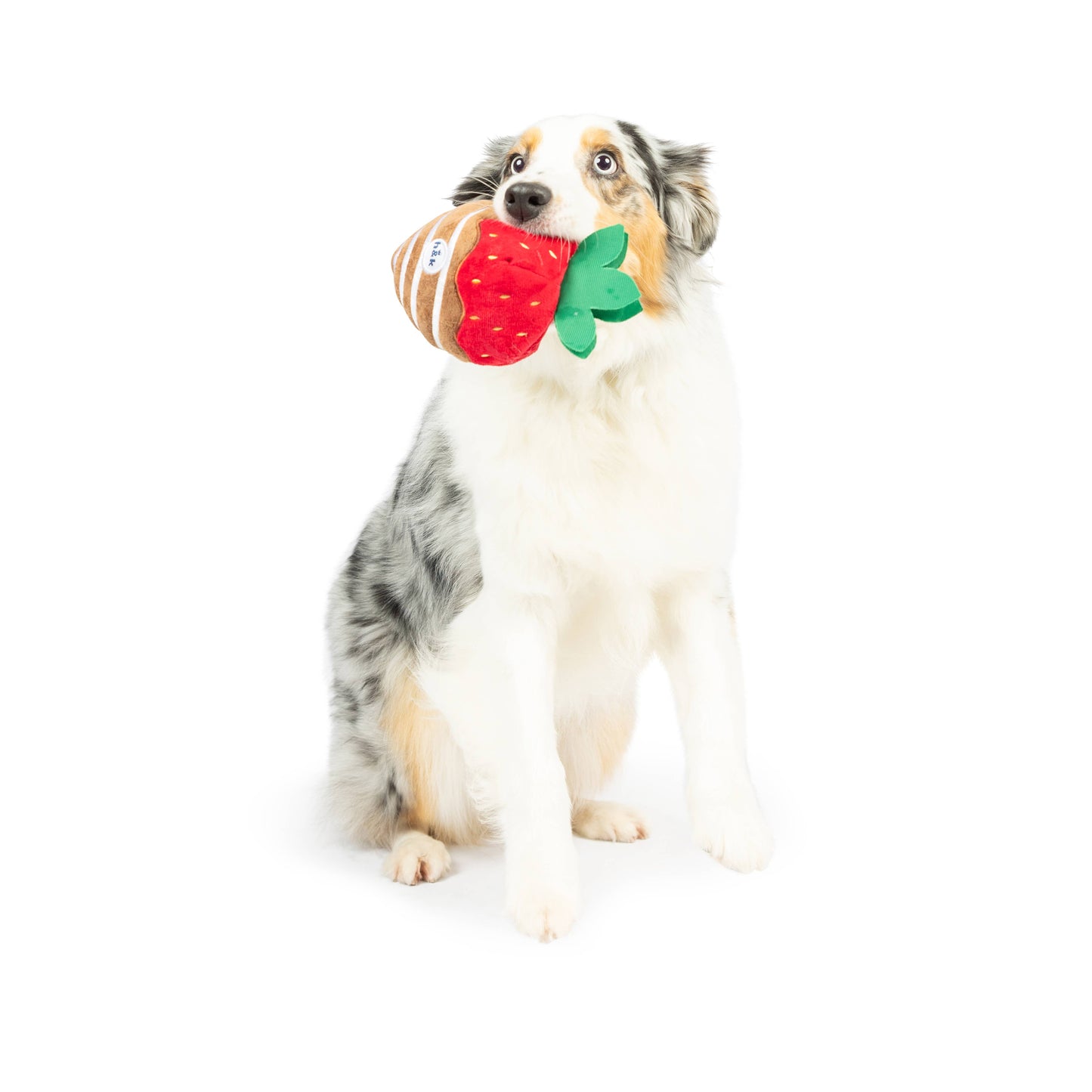 Plush dog toy shaped like a chocolate strawberry with green leaves, made for Christmas gifts.