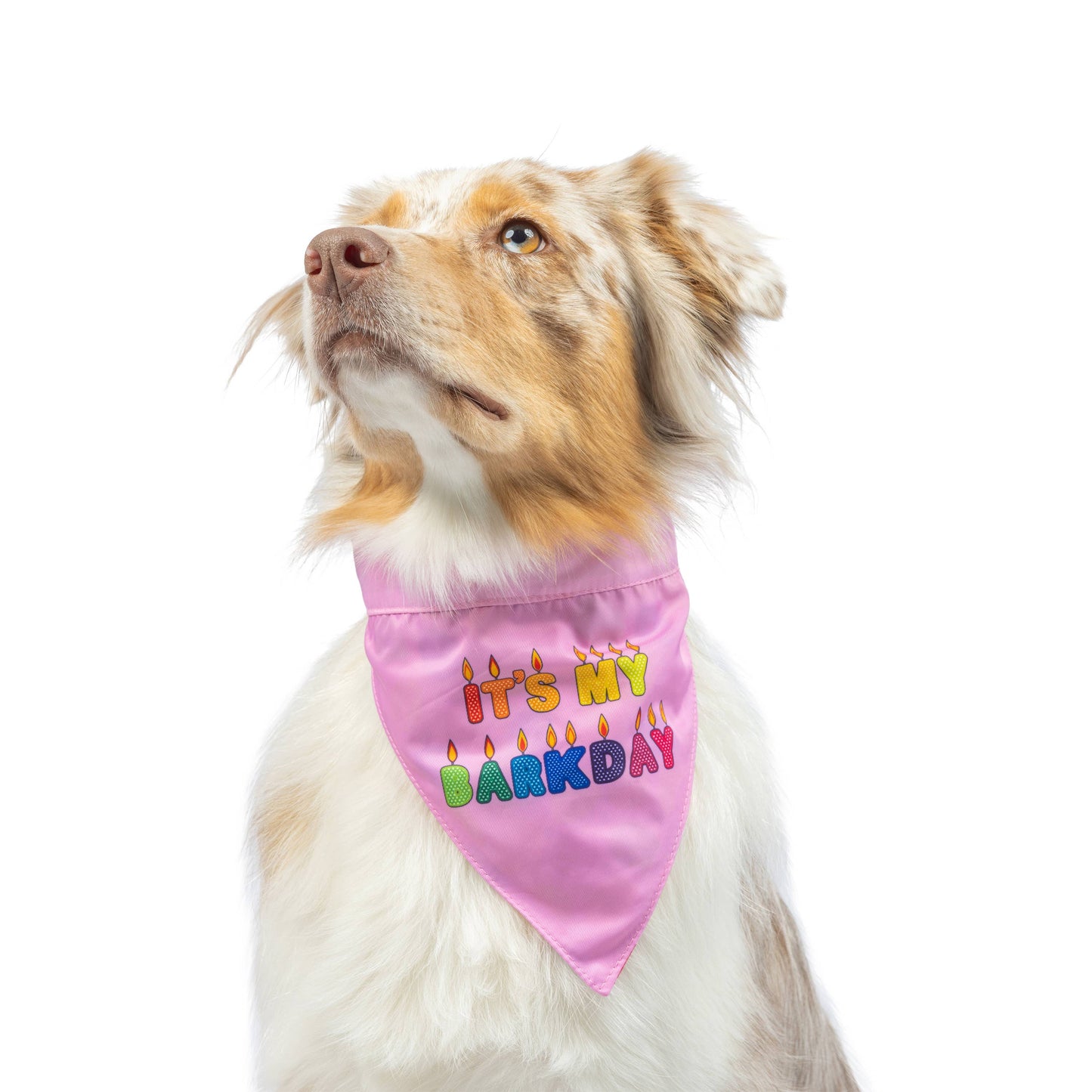 Dog wearing a pink double-sided bandana with colorful birthday candle print.