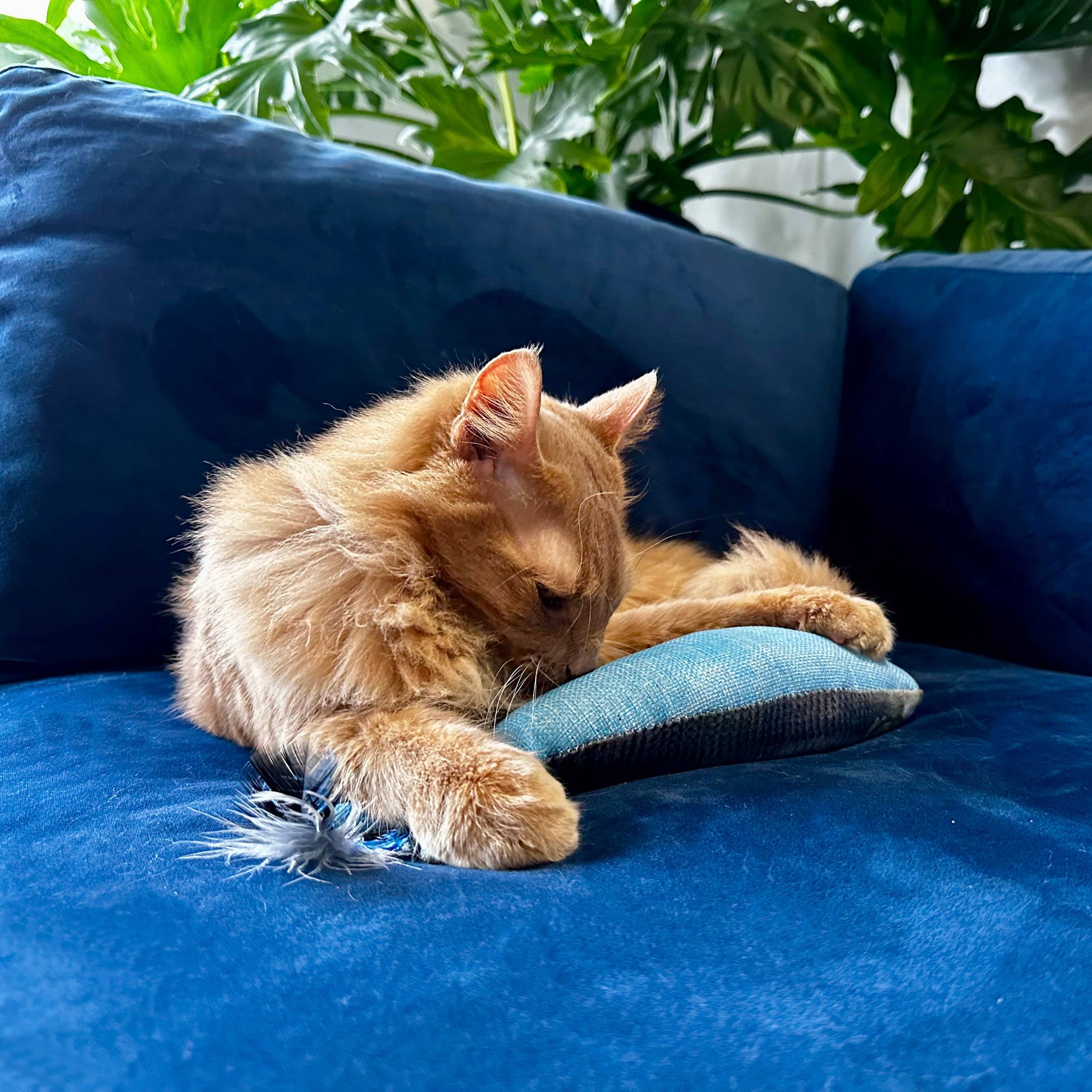 Plush cat toy shaped like a sardine with catnip and feathers, nestled beside a resting orange cat.