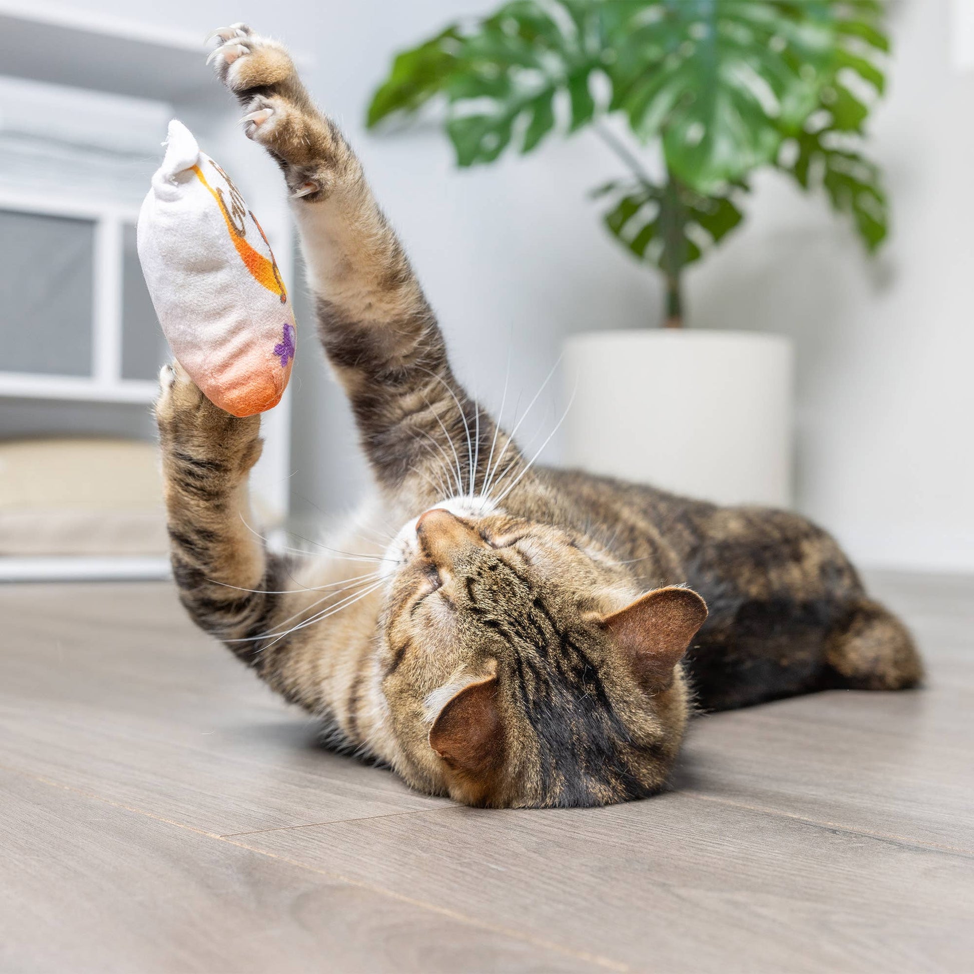 Plush cat toy with catnip, featuring a colorful "Go Fish Phishy" design, held by a relaxed tabby cat.