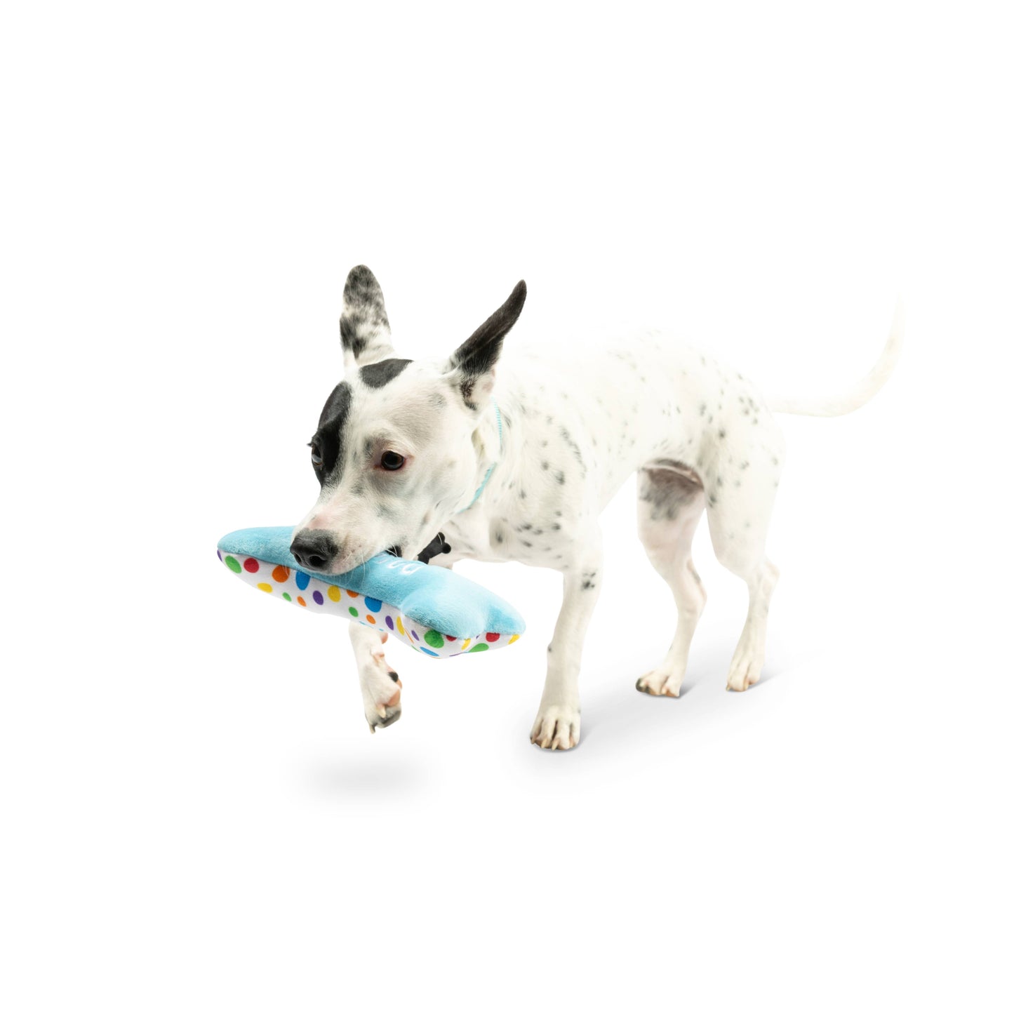Plush blue bone dog toy with colorful polka dots and "It's My Barkday" text, held in a dog's mouth.