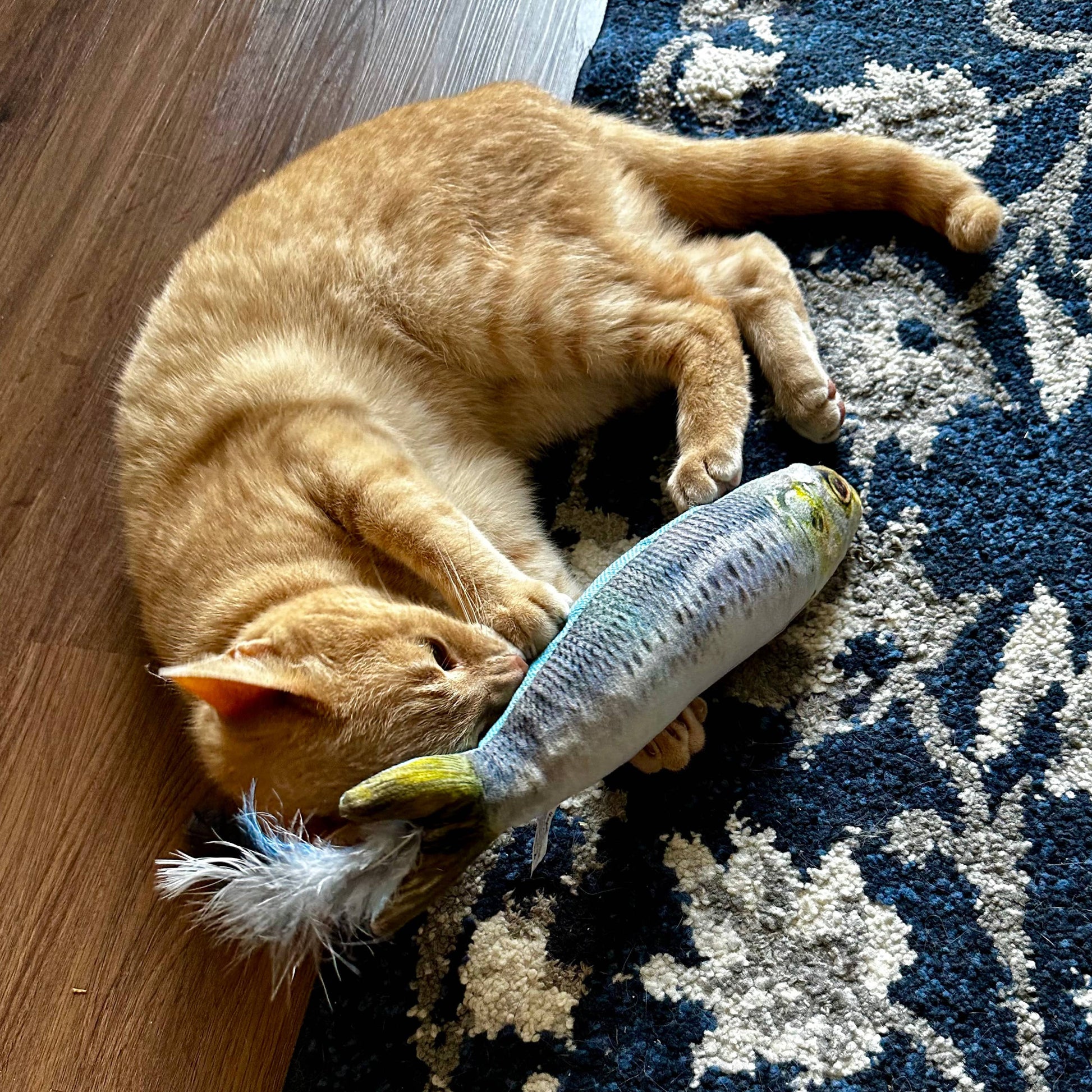 Plush cat toy shaped like a sardine with feathers, filled with catnip.