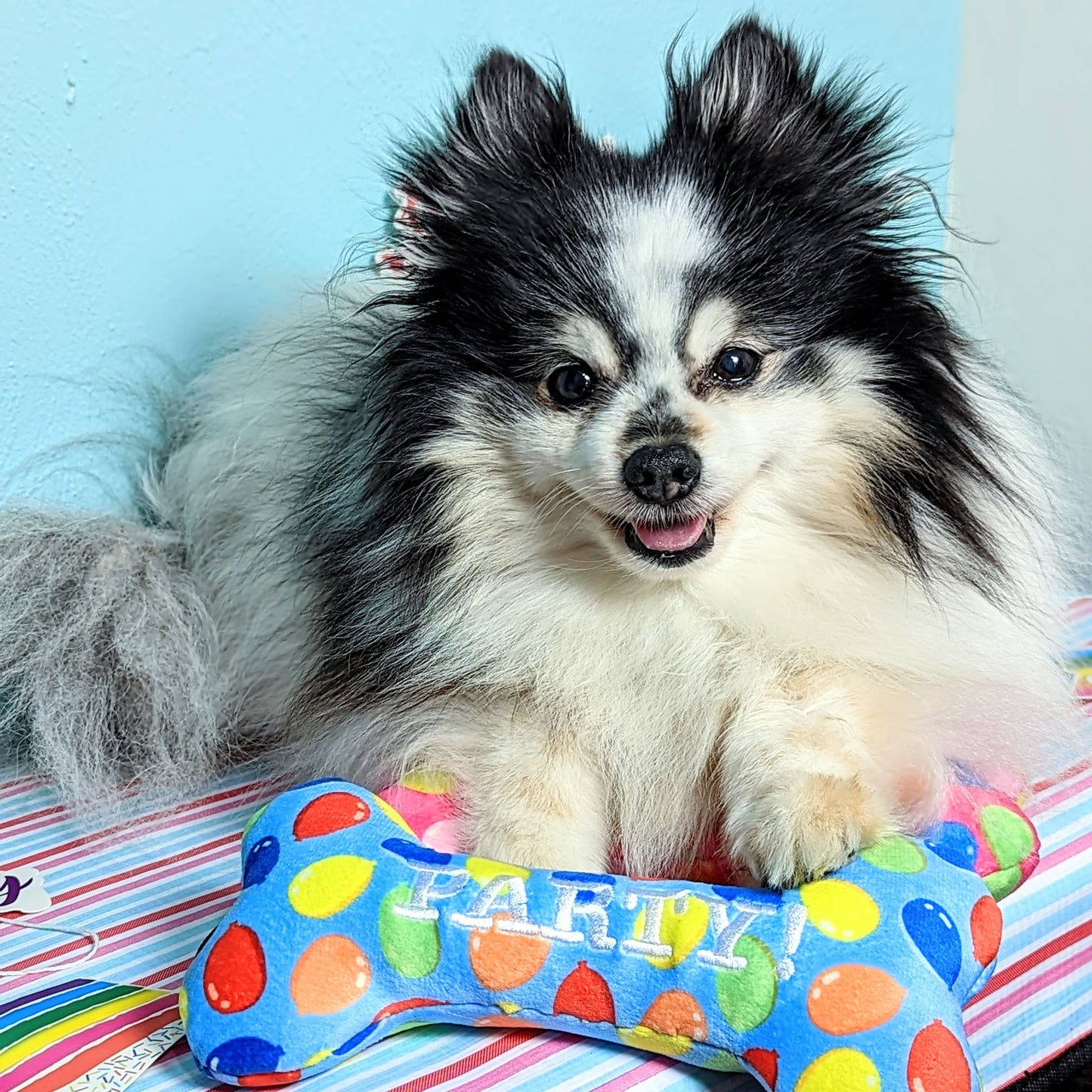 Bone-shaped dog toy filled with multicolored balloons print and "PARTY!" text in party blue.