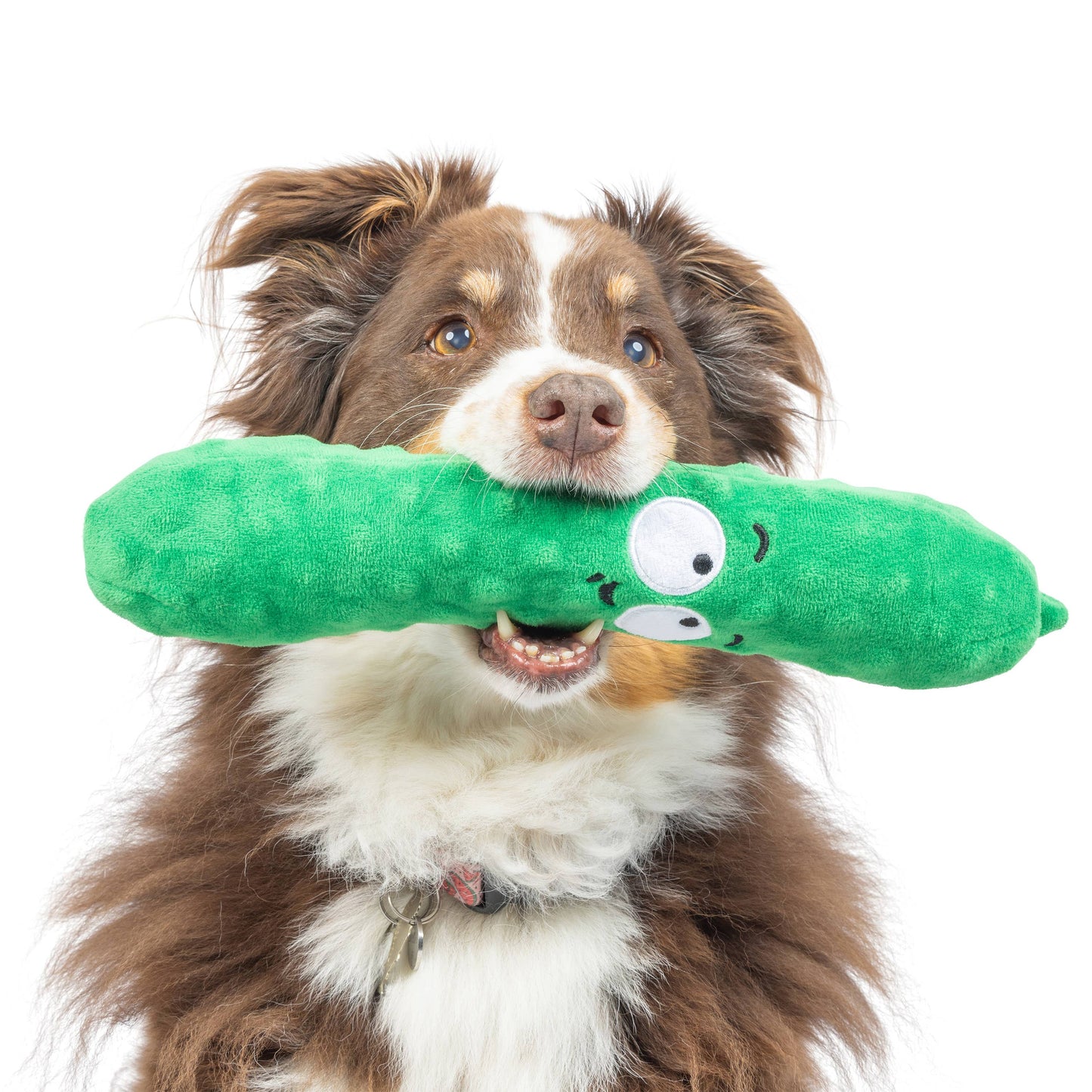 A green plush pickle-shaped dog toy with a cute face and a squeaker, held in a dog's mouth.
