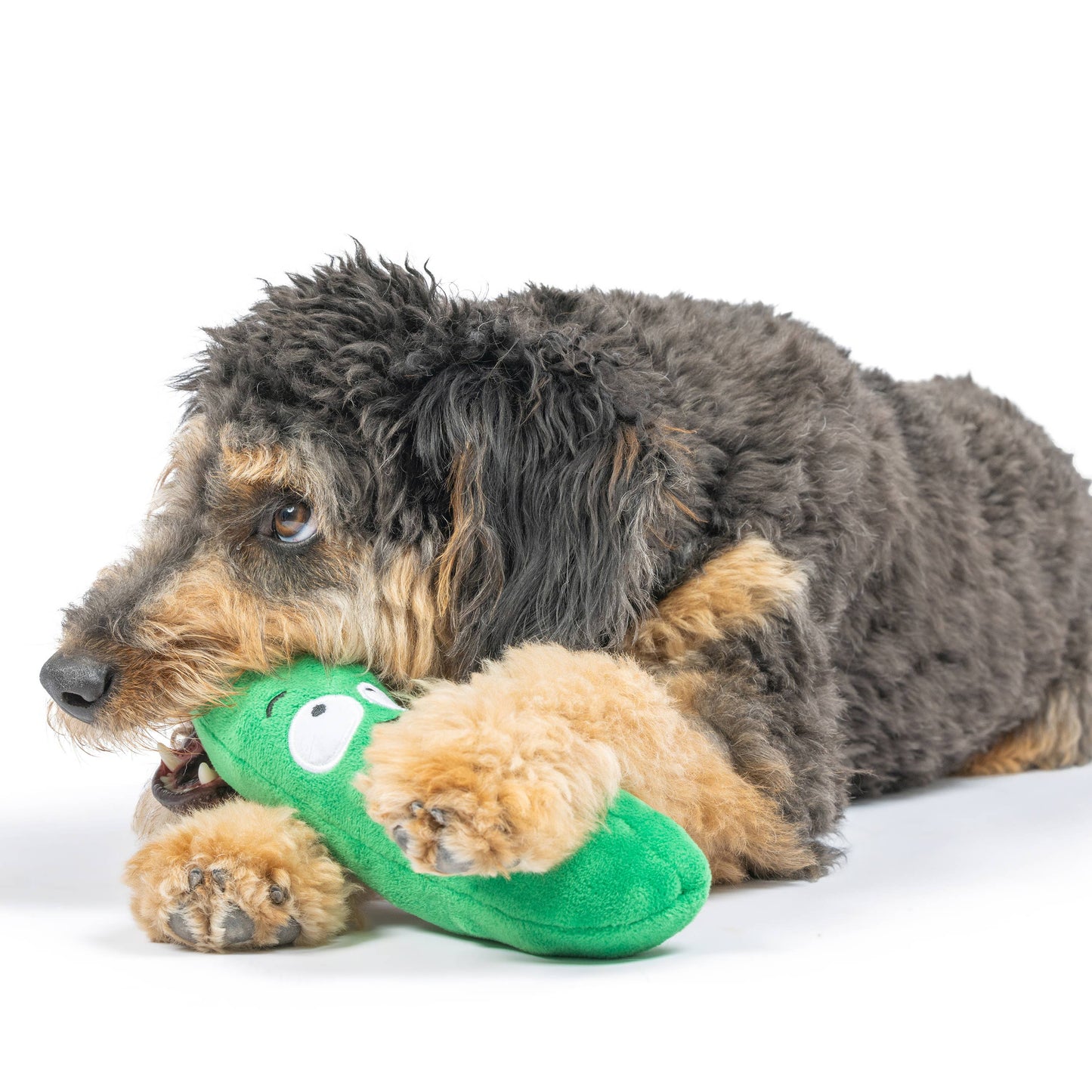 A plush green pickle-shaped dog toy with a squeaker and expressive eyes, being bitten by a shaggy dog.