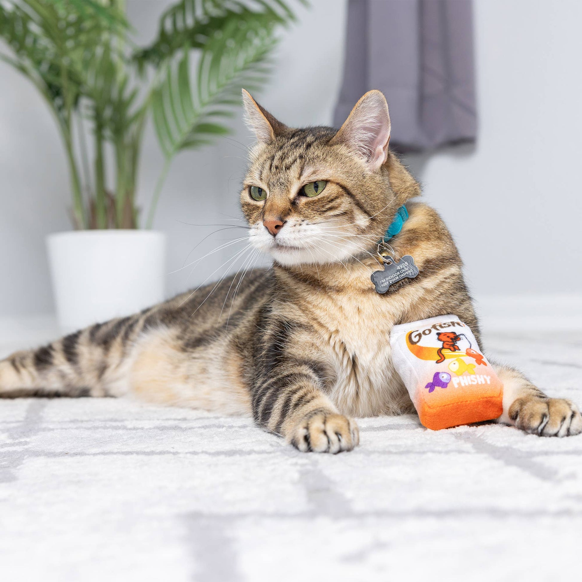 Plush cat toy with "Go Fish Phishy" design, orange and white plush with catnip inside, held by a striped cat.