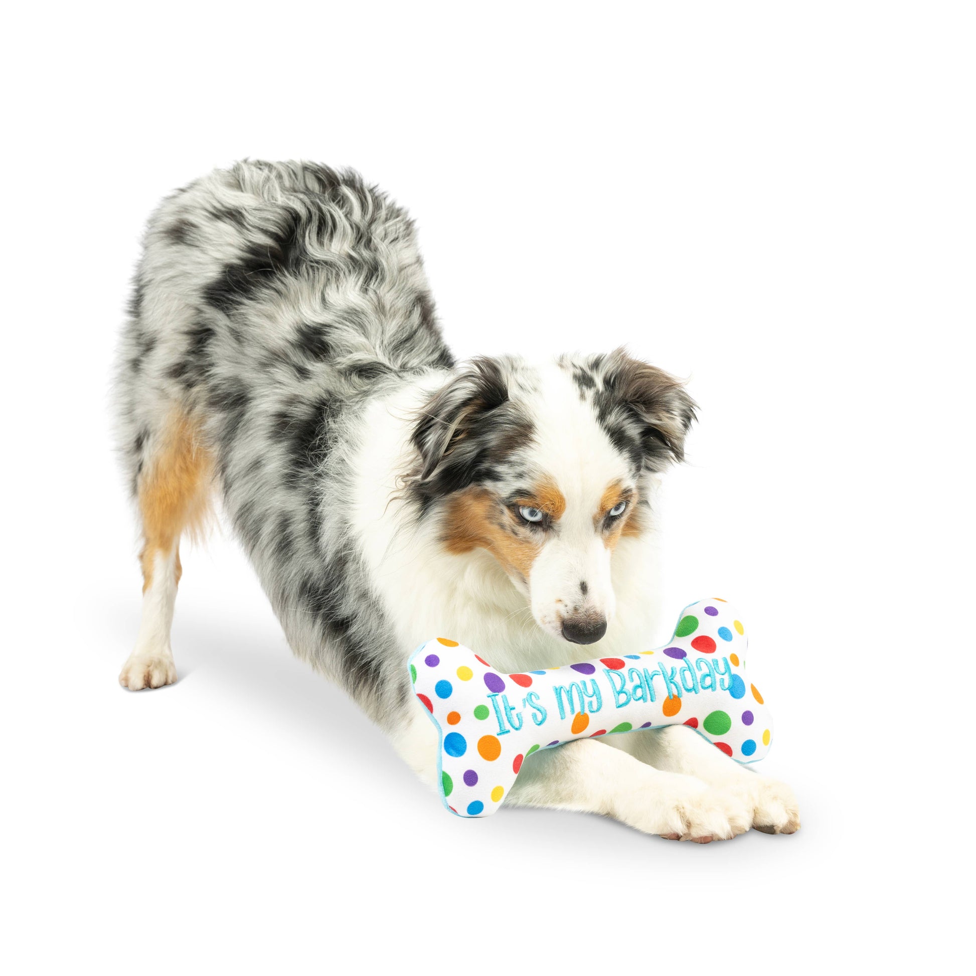 Bone-shaped plush dog toy with multicolored polka dots, "It's My Barkday" text, and double-sided design.