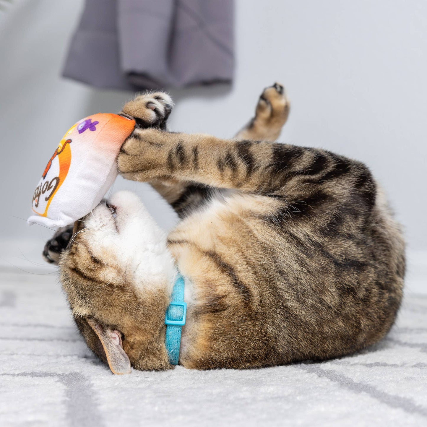 Plush cat toy with "Go Fish Phishy" design, orange and white plush with catnip inside, held by a striped cat.