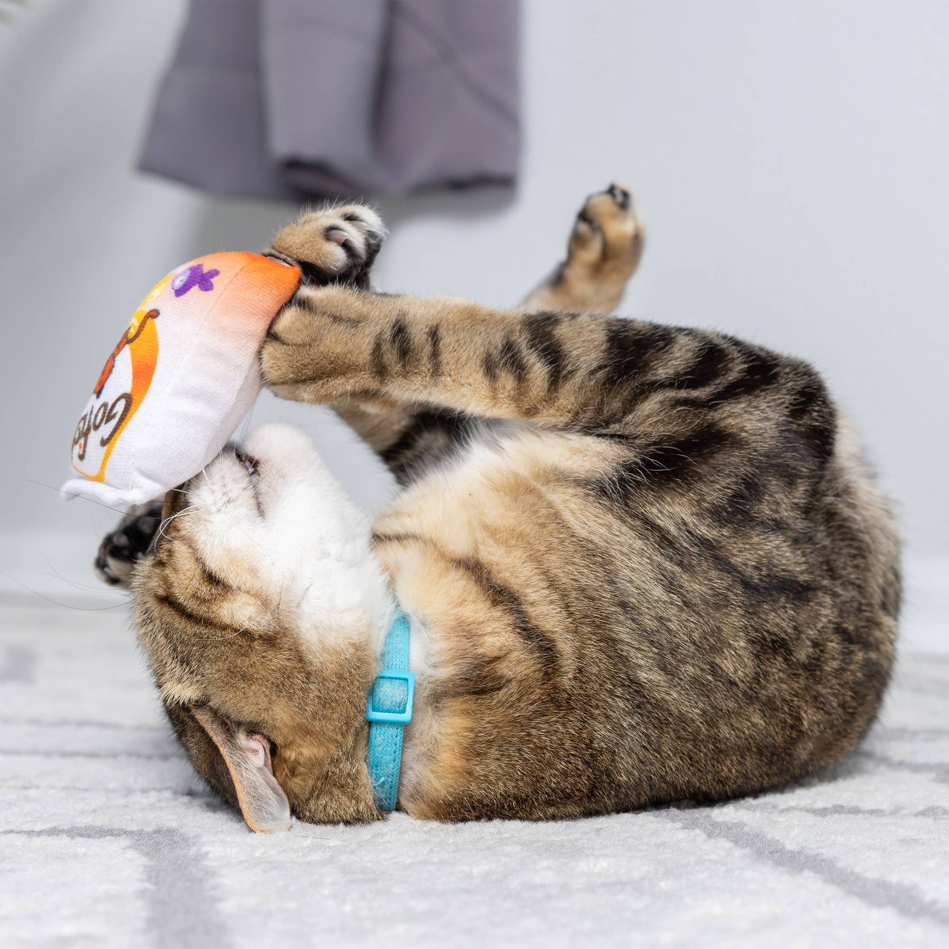 Plush cat toy with "Go Fish Phishy" design, orange and white plush with catnip inside, held by a striped cat.