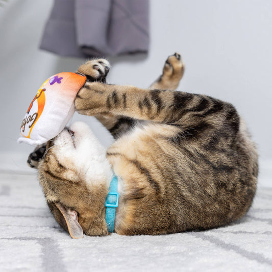 Plush cat toy with "Go Fish Phishy" design, orange and white plush with catnip inside, held by a striped cat.