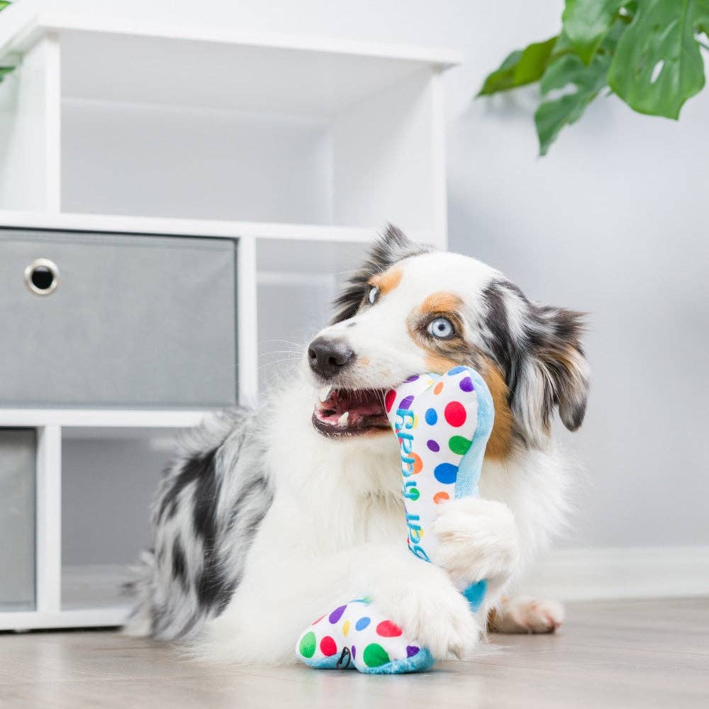 Plush bone-shaped dog toy with colorful polka dots and "It's My Barkday" text, held by a dog.