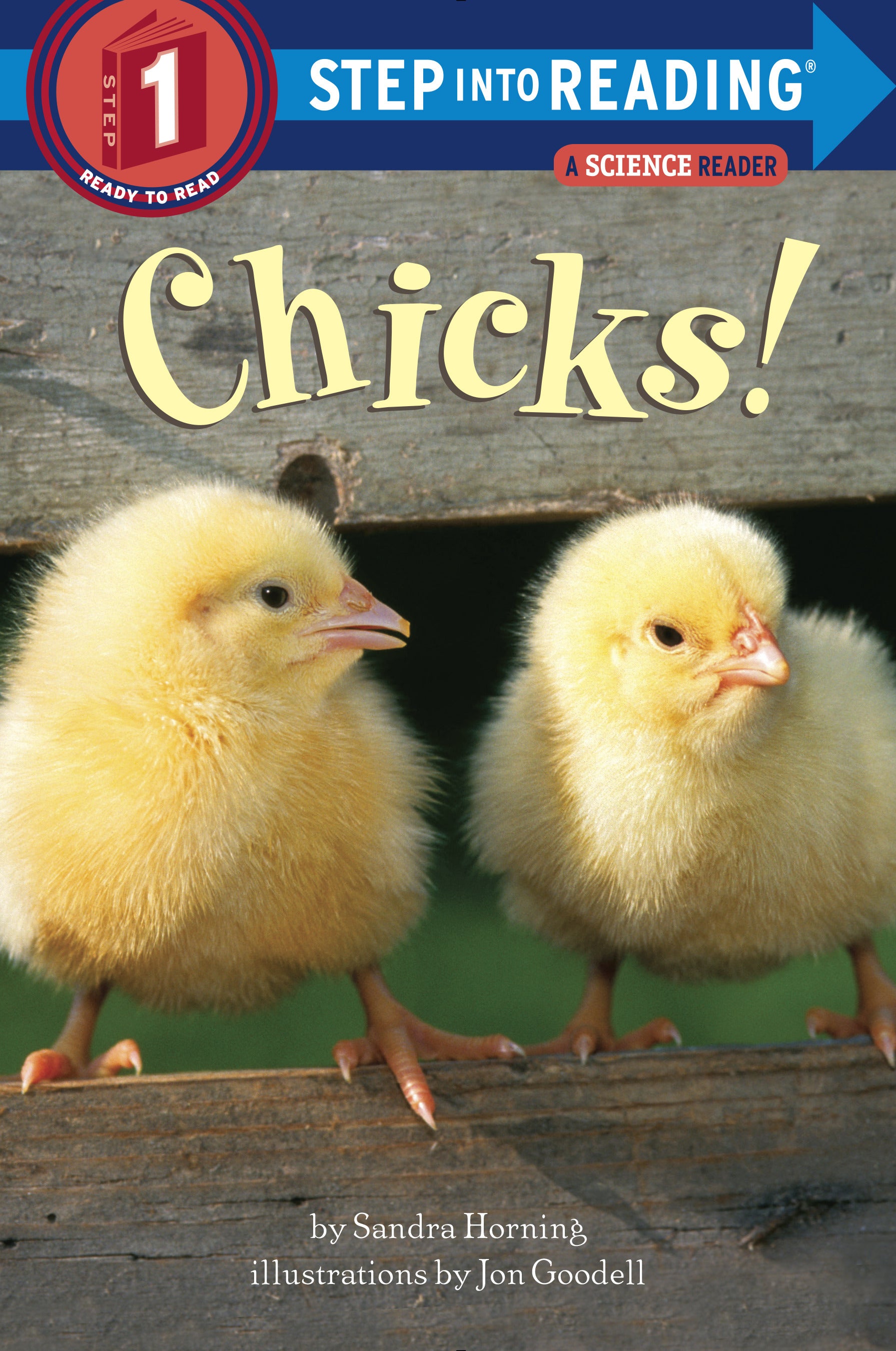 Children's reading book cover featuring two fluffy yellow chicks