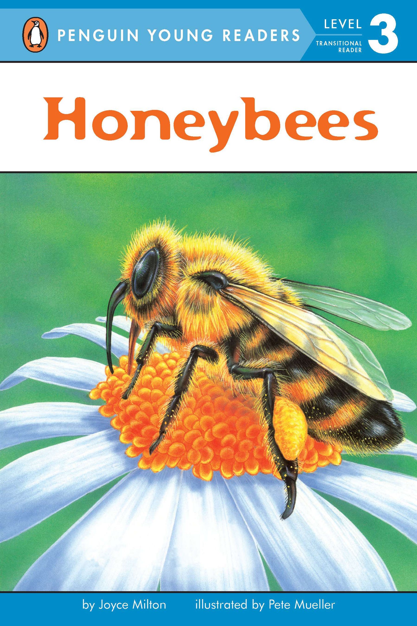 Illustrated cover of children's book about honeybees on a flower