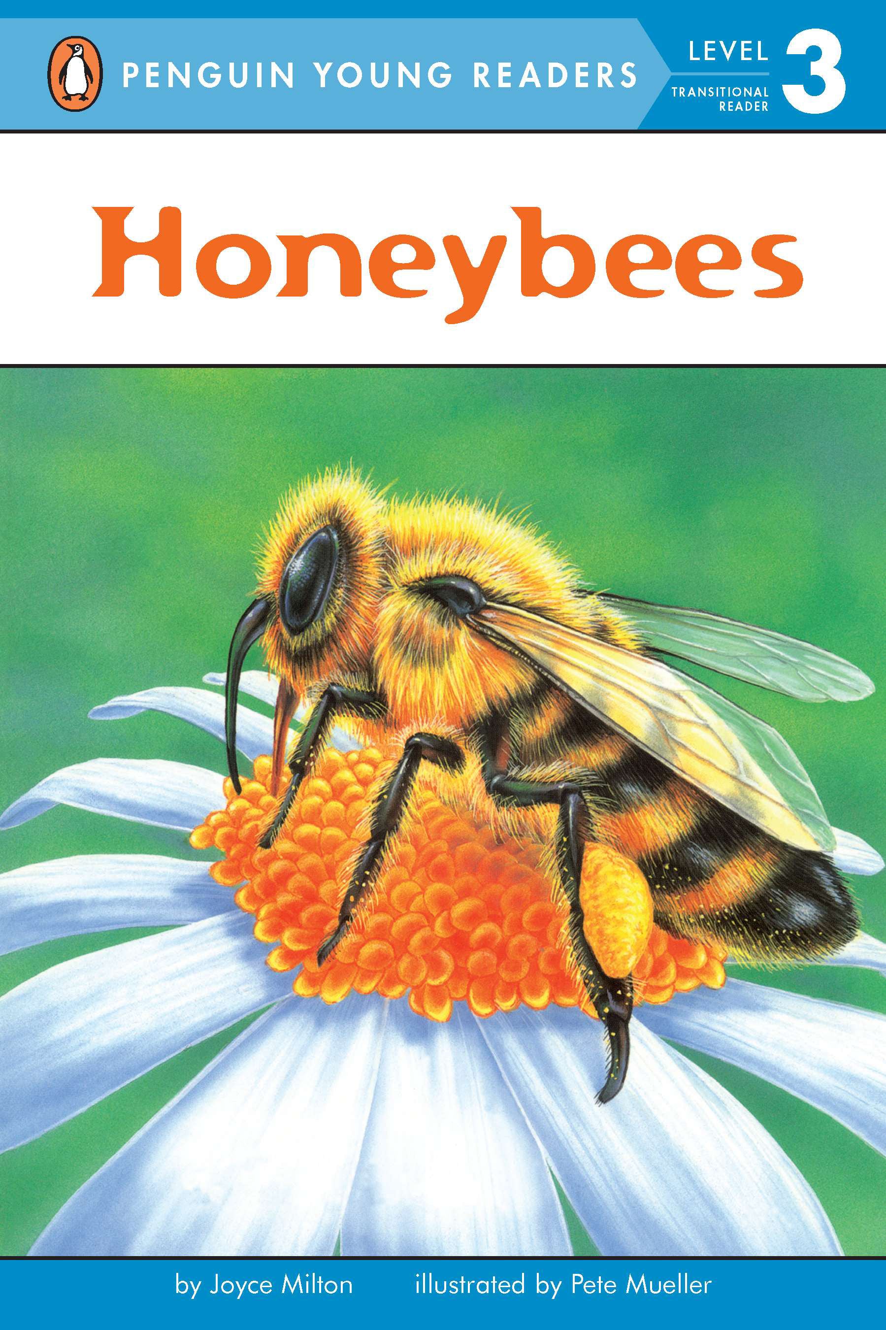 Illustrated cover of children's book about honeybees on a flower