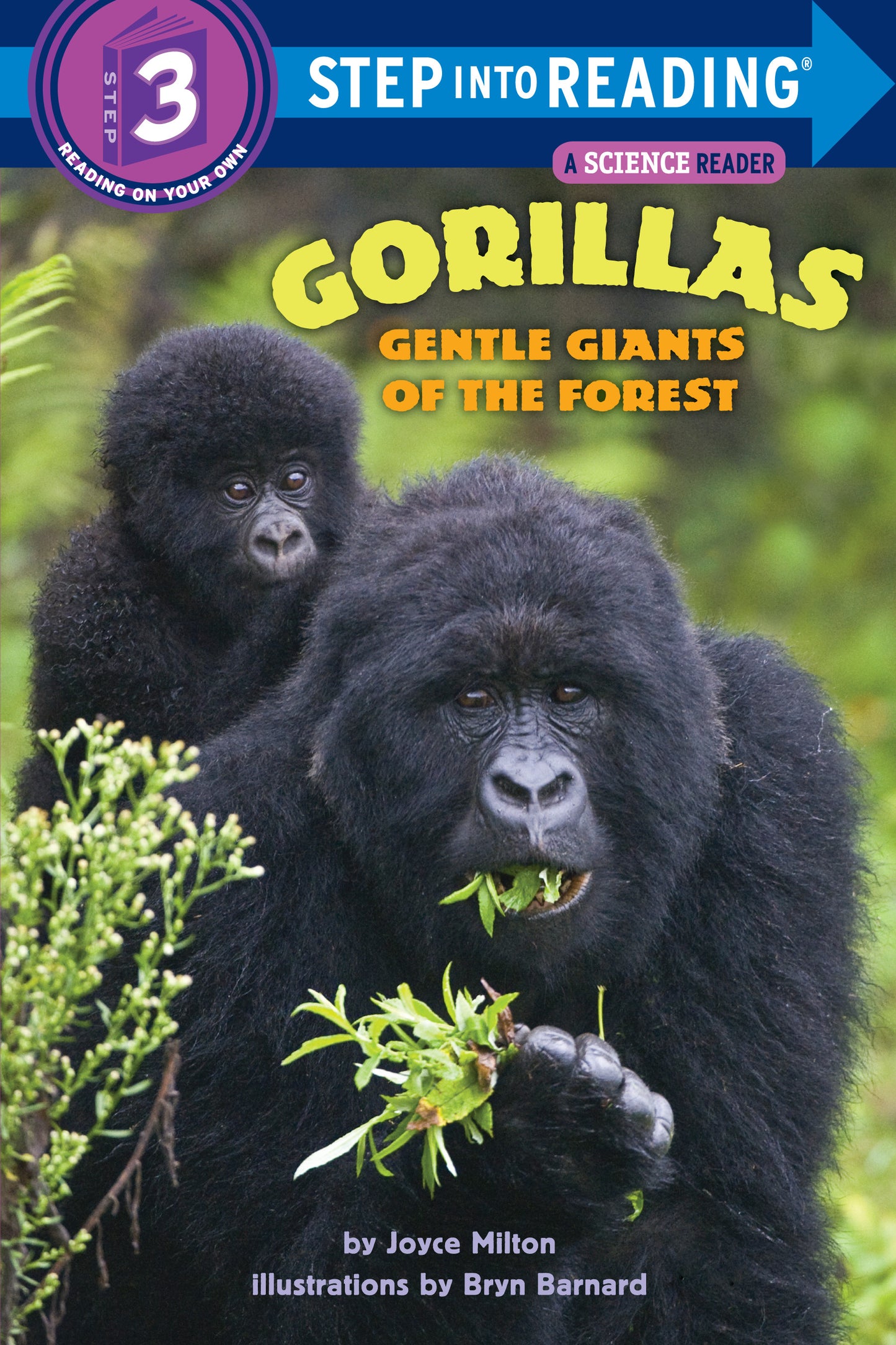 Children's nonfiction gorilla book cover featuring adult and baby gorilla in the forest