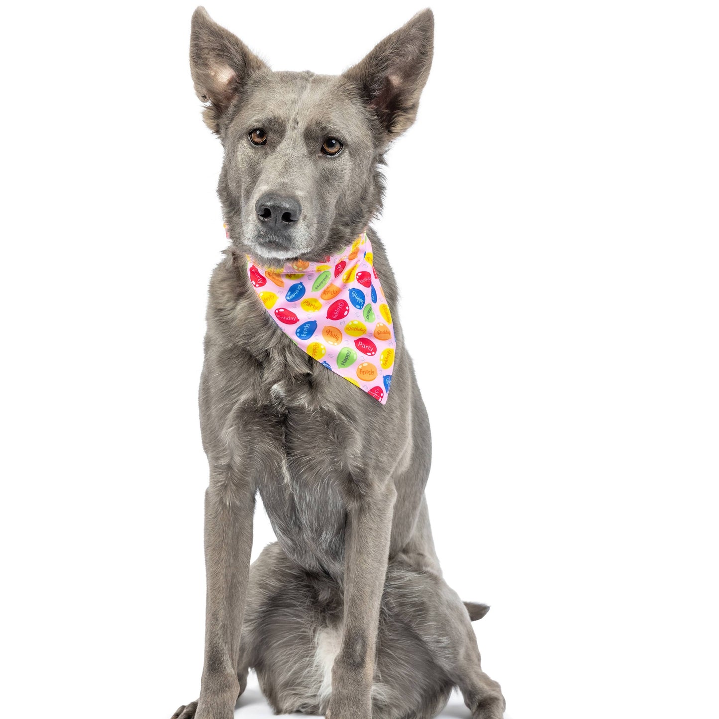 Dog wearing a pink double-sided bandana with colorful candy patterns, perfect for festive occasions.