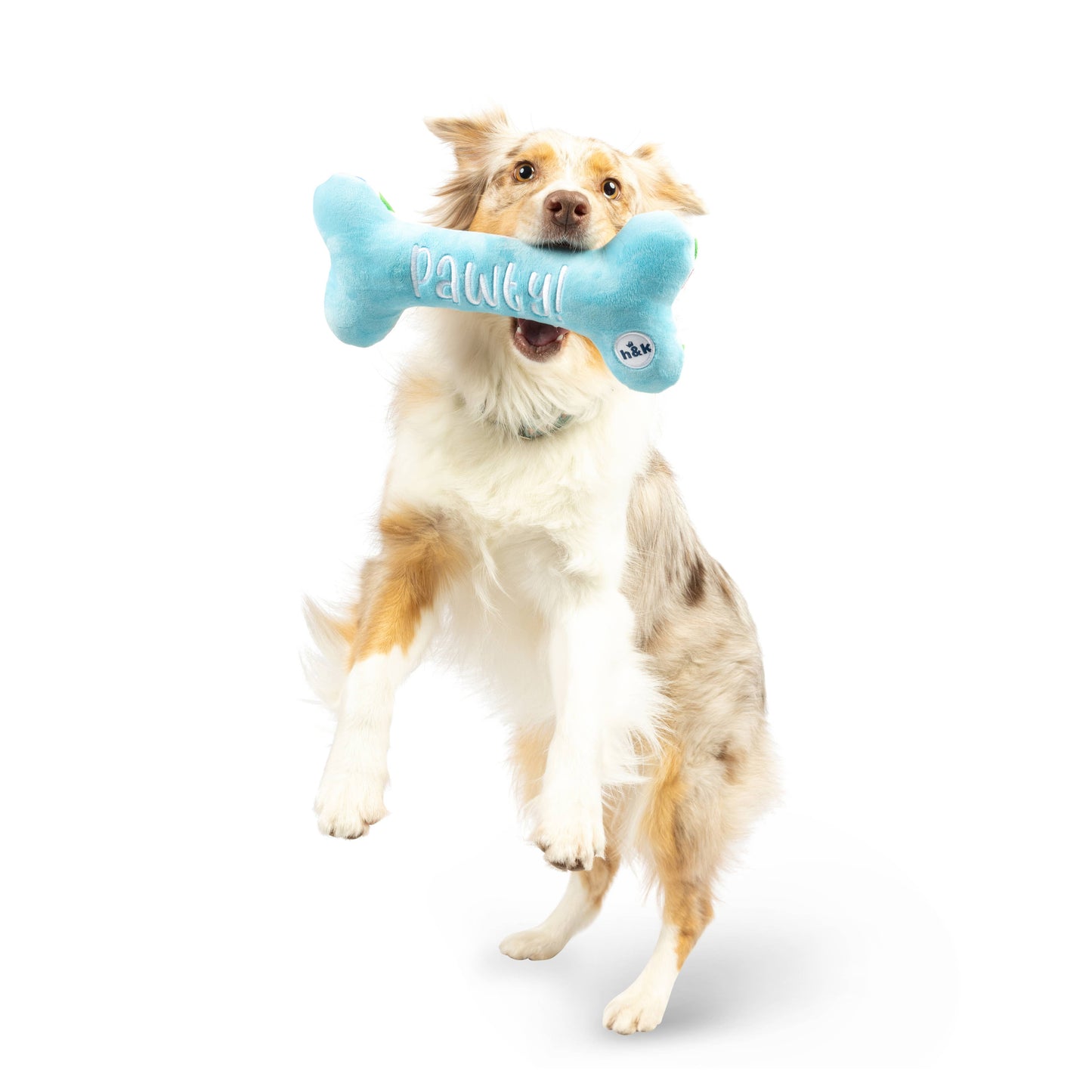 Blue plush bone dog toy with "Pawty!" text, held in a dog's mouth.