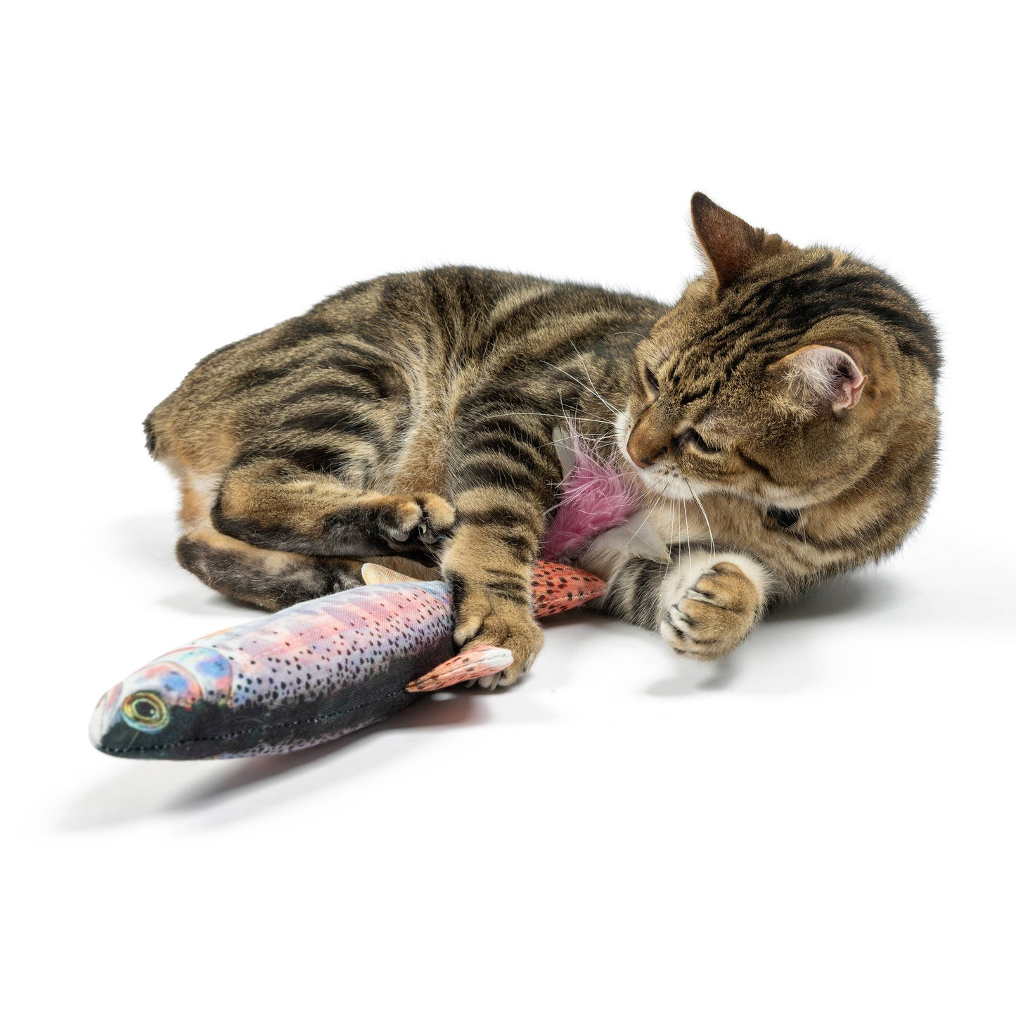 Multicolored plush fish cat toy with pink feather and catnip, being pawed by a tabby cat.