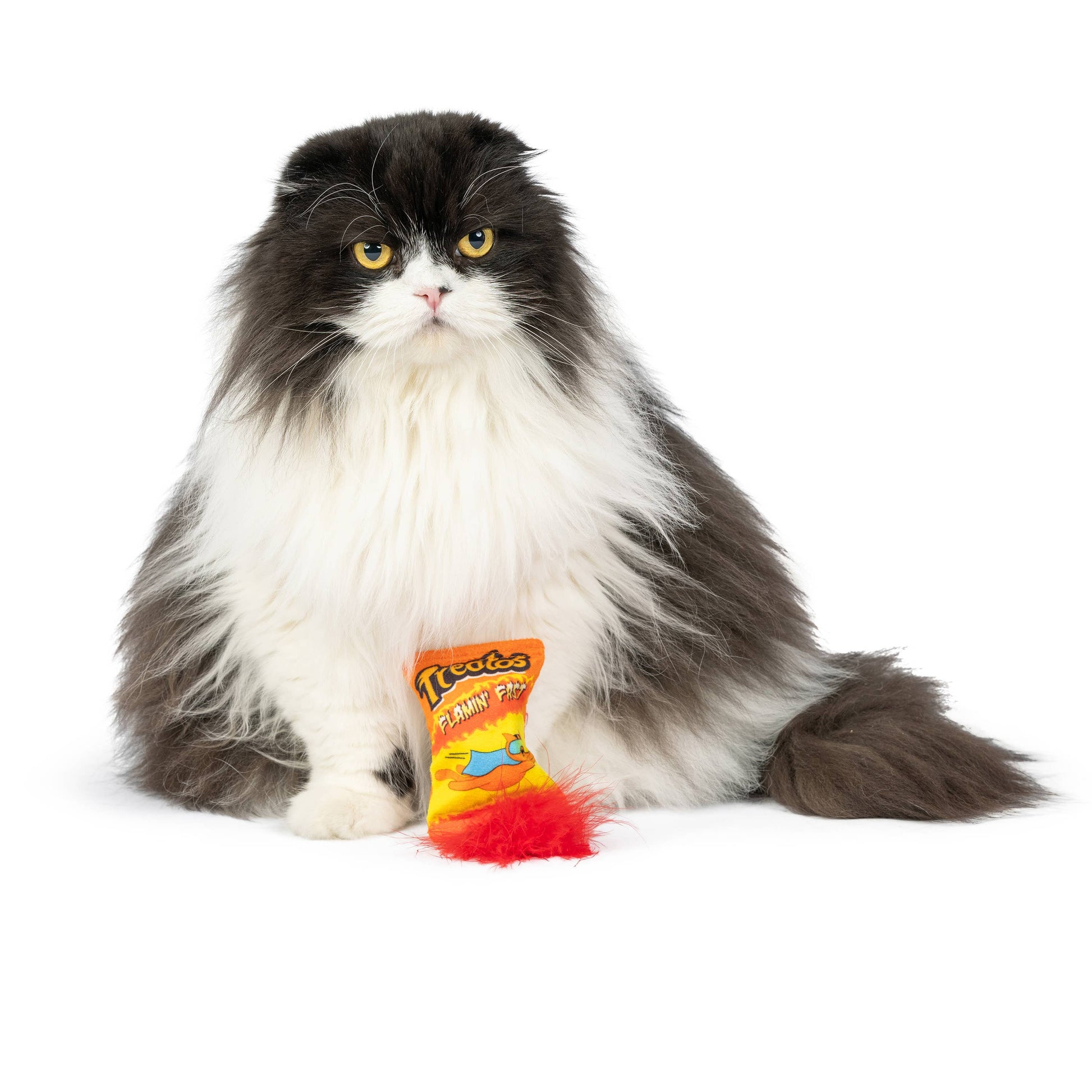 A plush cat toy shaped like a Flamin' Hot Cheetos bag with a red feather tail.