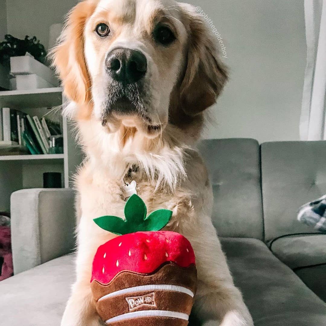 Plush chocolate-covered strawberry dog toy with green leaf stem and white icing details.