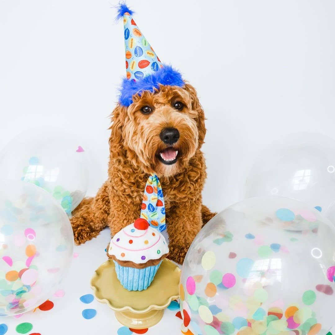 Dog wearing a blue balloon-print party hat with a blue pom-pom and matching tie.