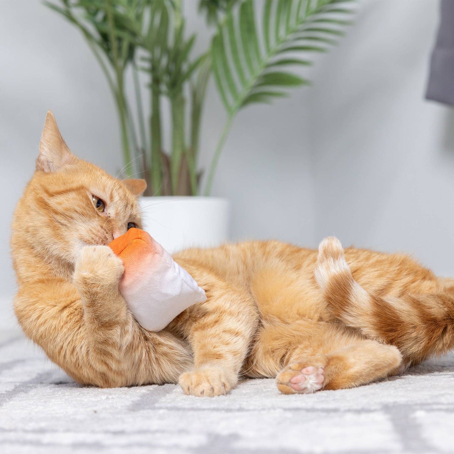 Orange plush cat toy with white and orange gradient, being chewed by a relaxed cat.