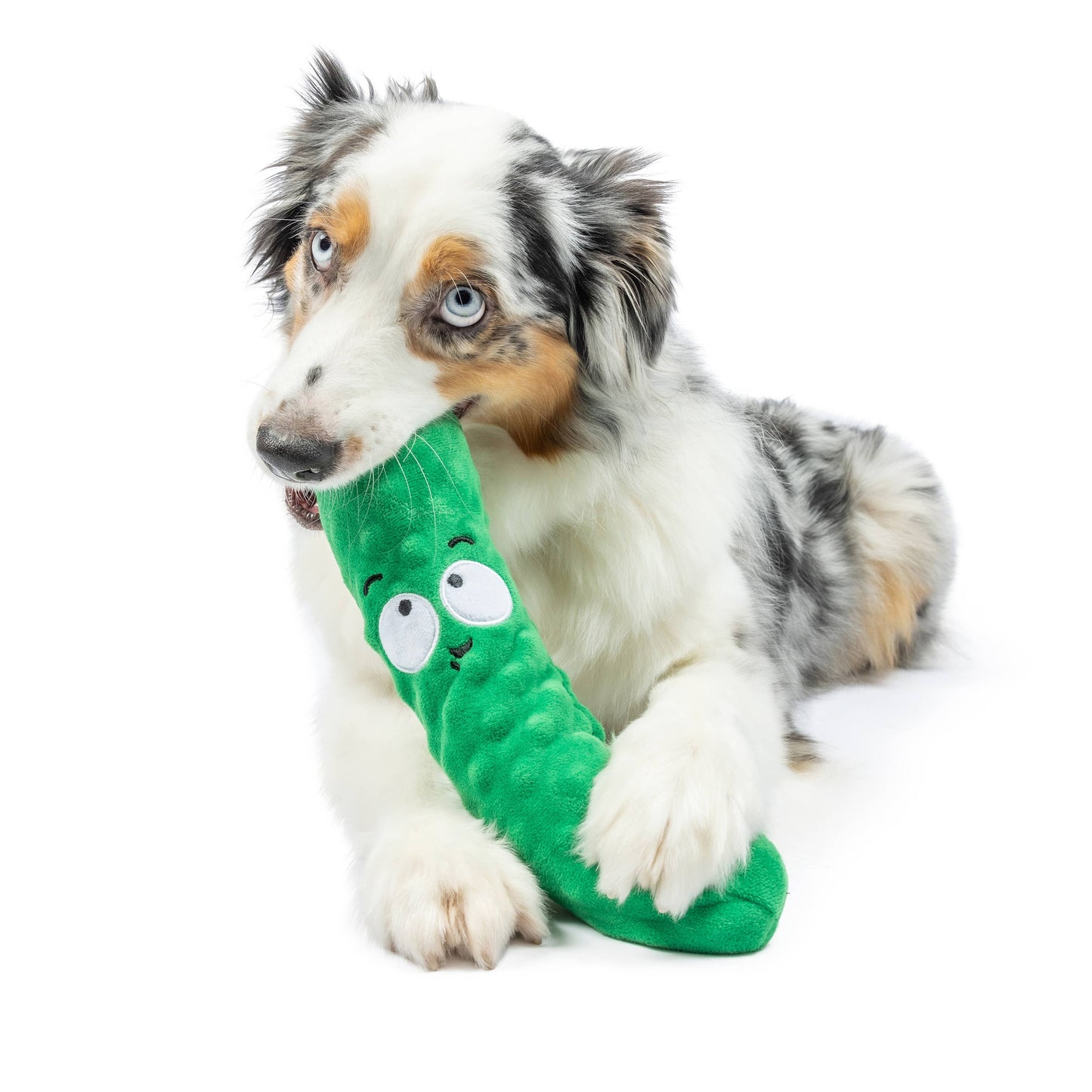 A plush green pickle-shaped dog toy with a cute face and a squeaker for shaking.