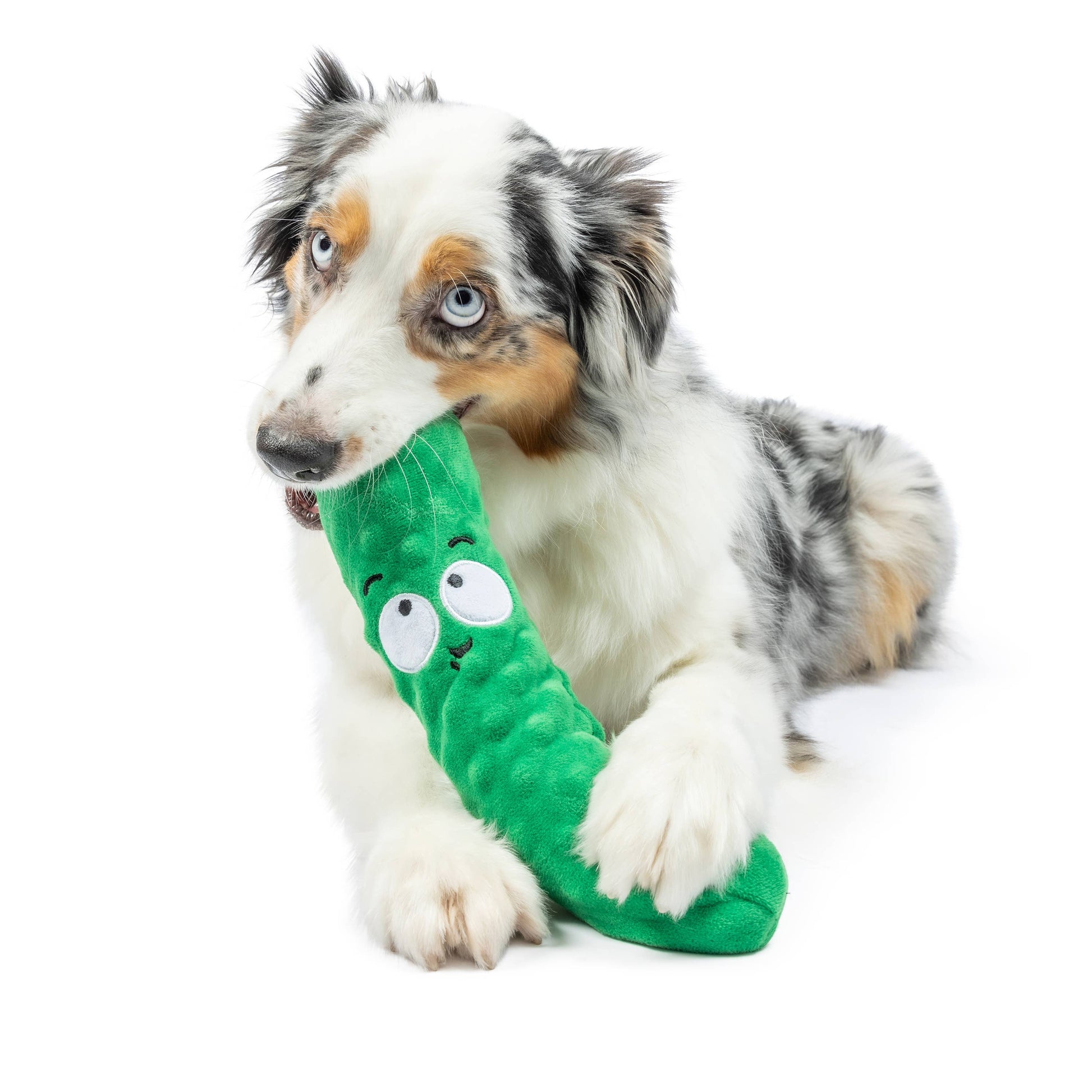 A plush green pickle-shaped dog toy with a cute face and a squeaker for shaking.