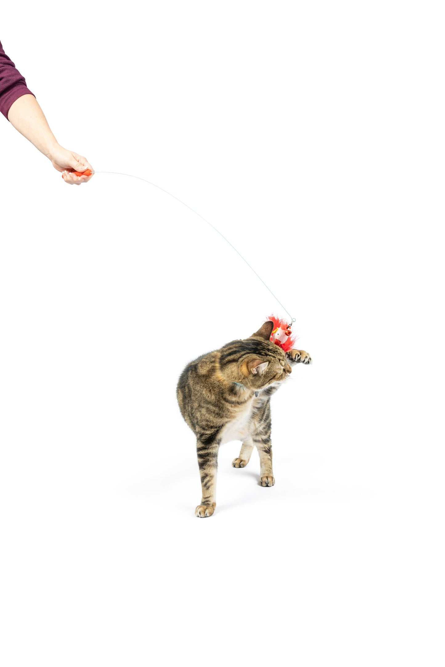 A playful cat swats at a crinkle-sounding wand toy featuring a bird and mouse.