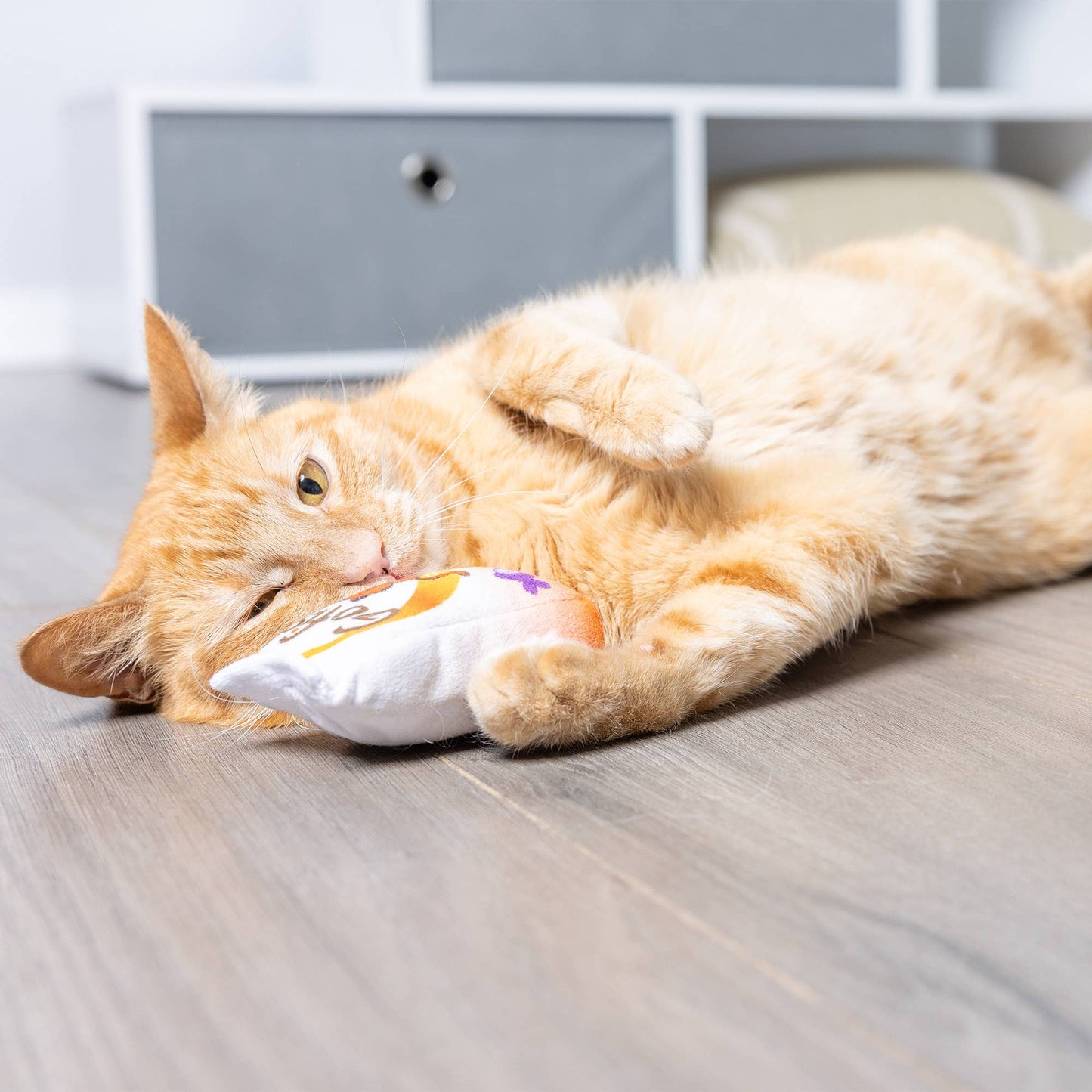Plush cat toy with "Go Fish Phishy" design, featuring orange and purple colors, held by a relaxed orange cat.