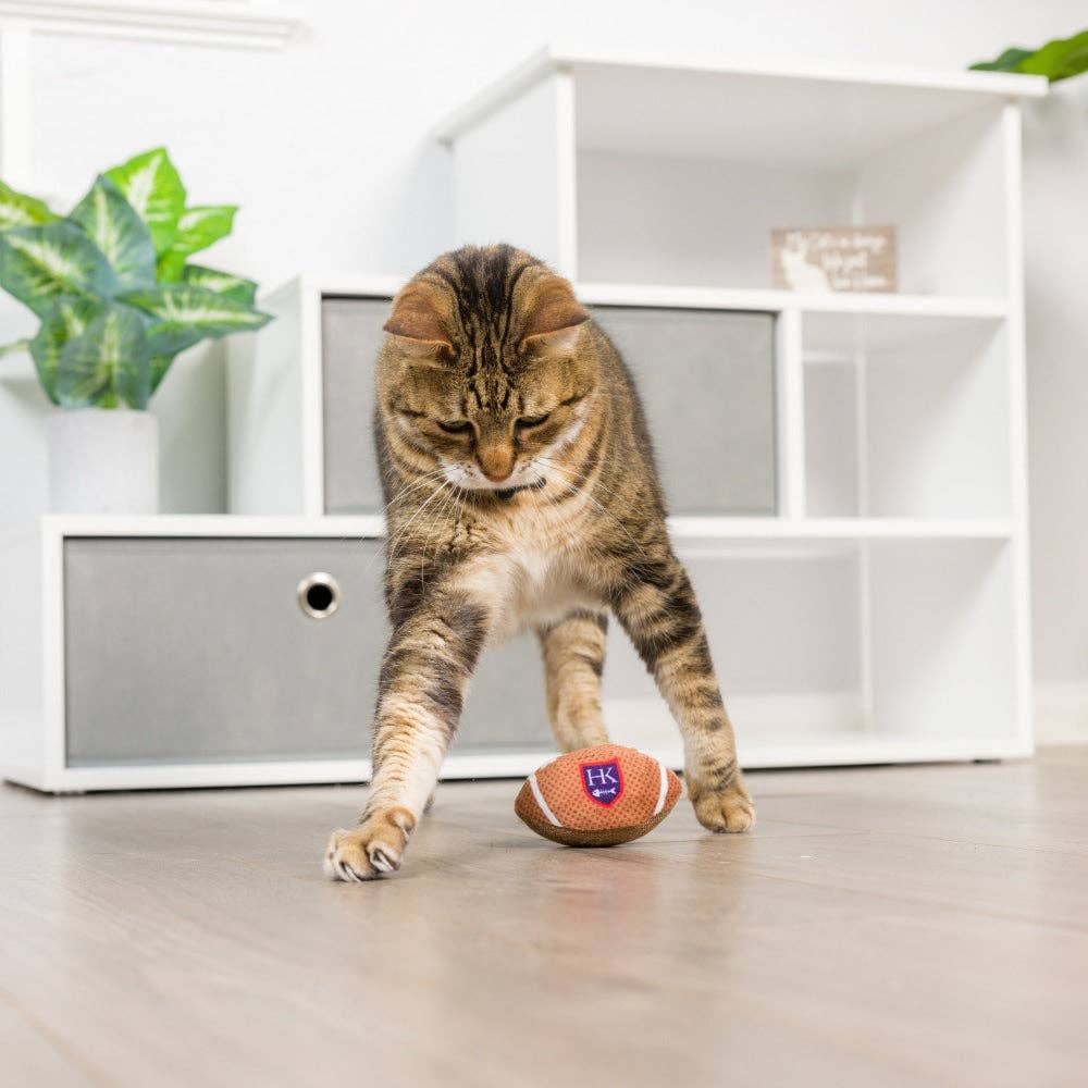 Brown plush football-shaped cat toy with organic catnip, being pawed by a tabby cat.