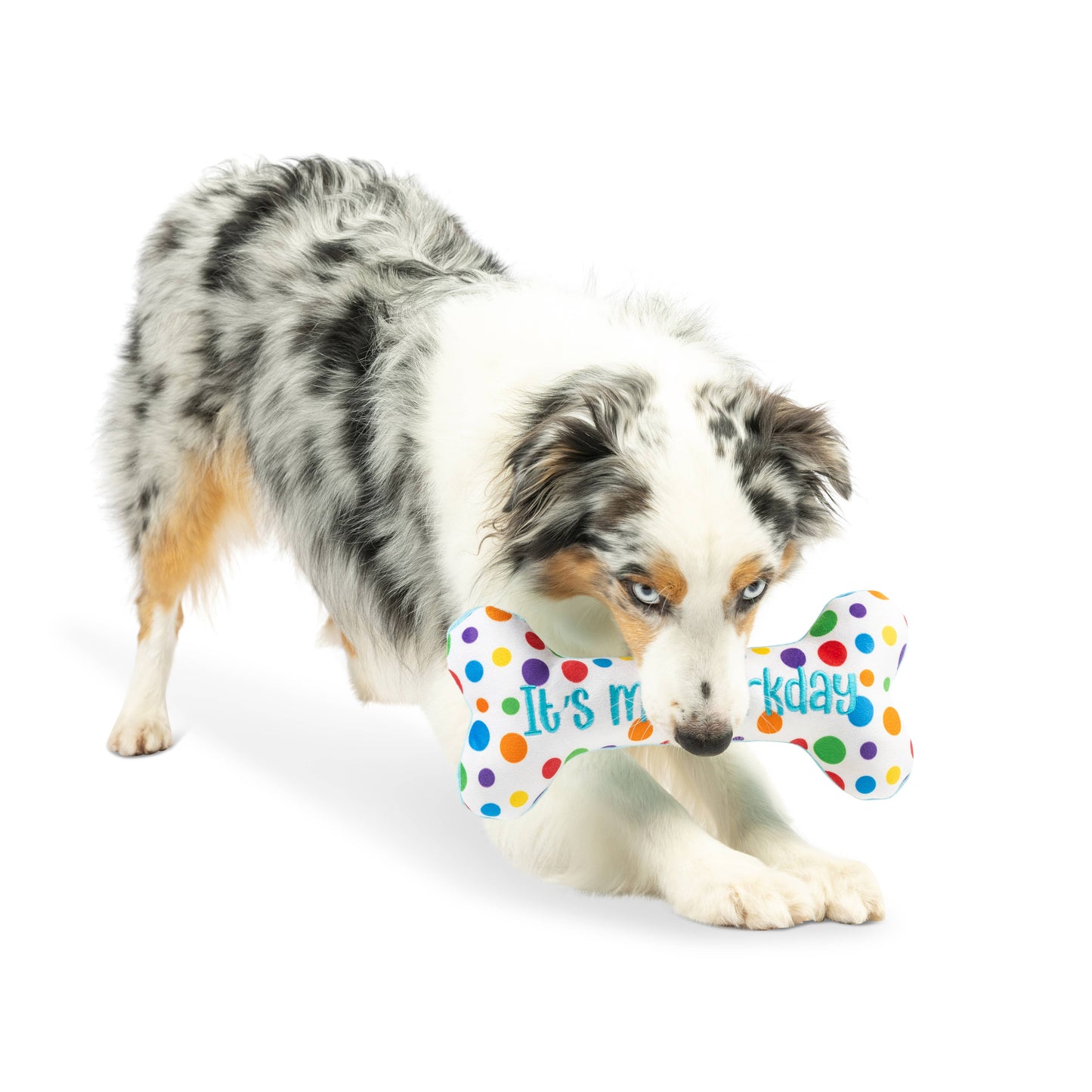 Bone-shaped plush dog toy with multicolored polka dots, "It's My Barkday" text, and double-sided design.