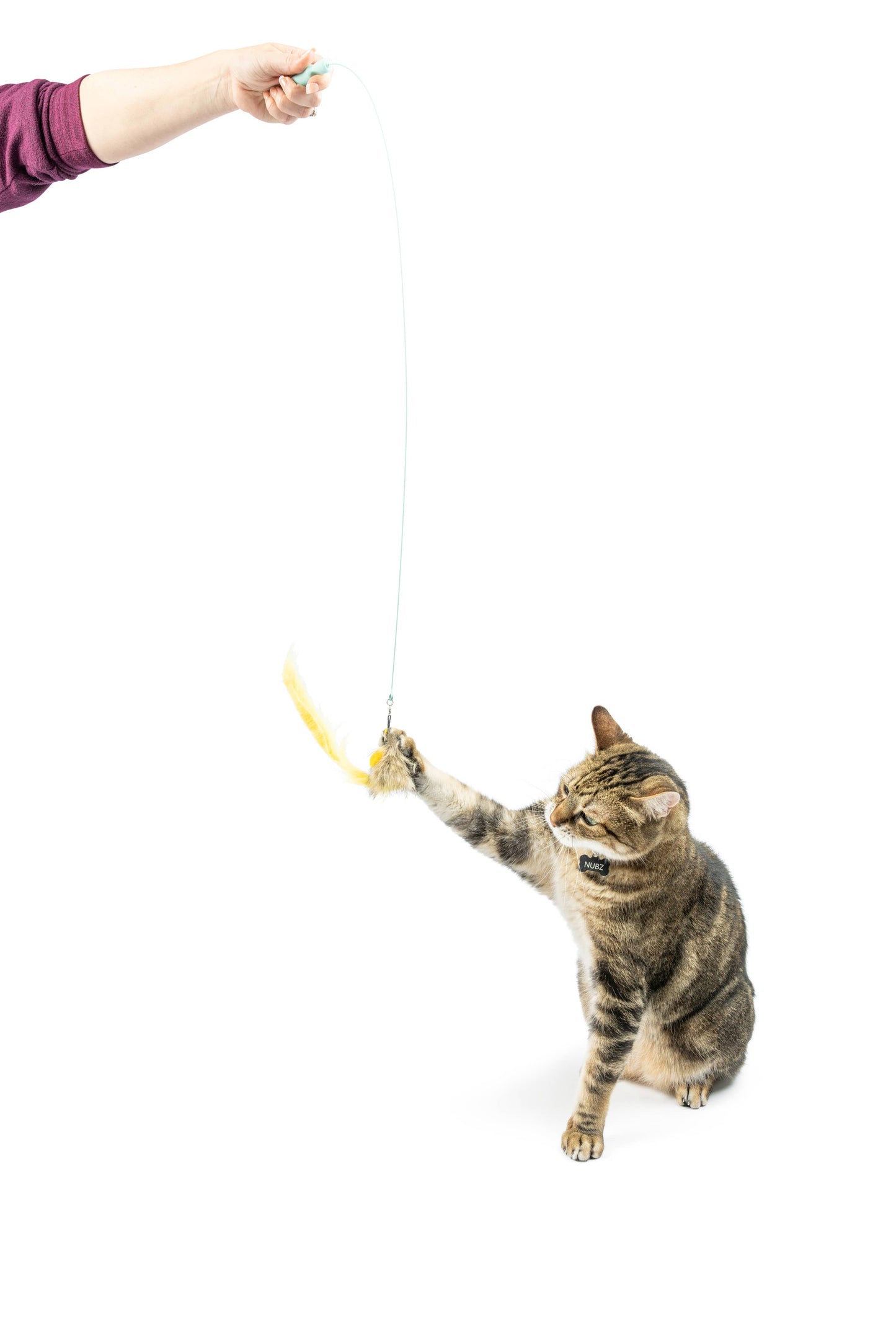 A cat plays with a wire wand toy featuring a dragonfly and mouse attached to yellow feathers.
