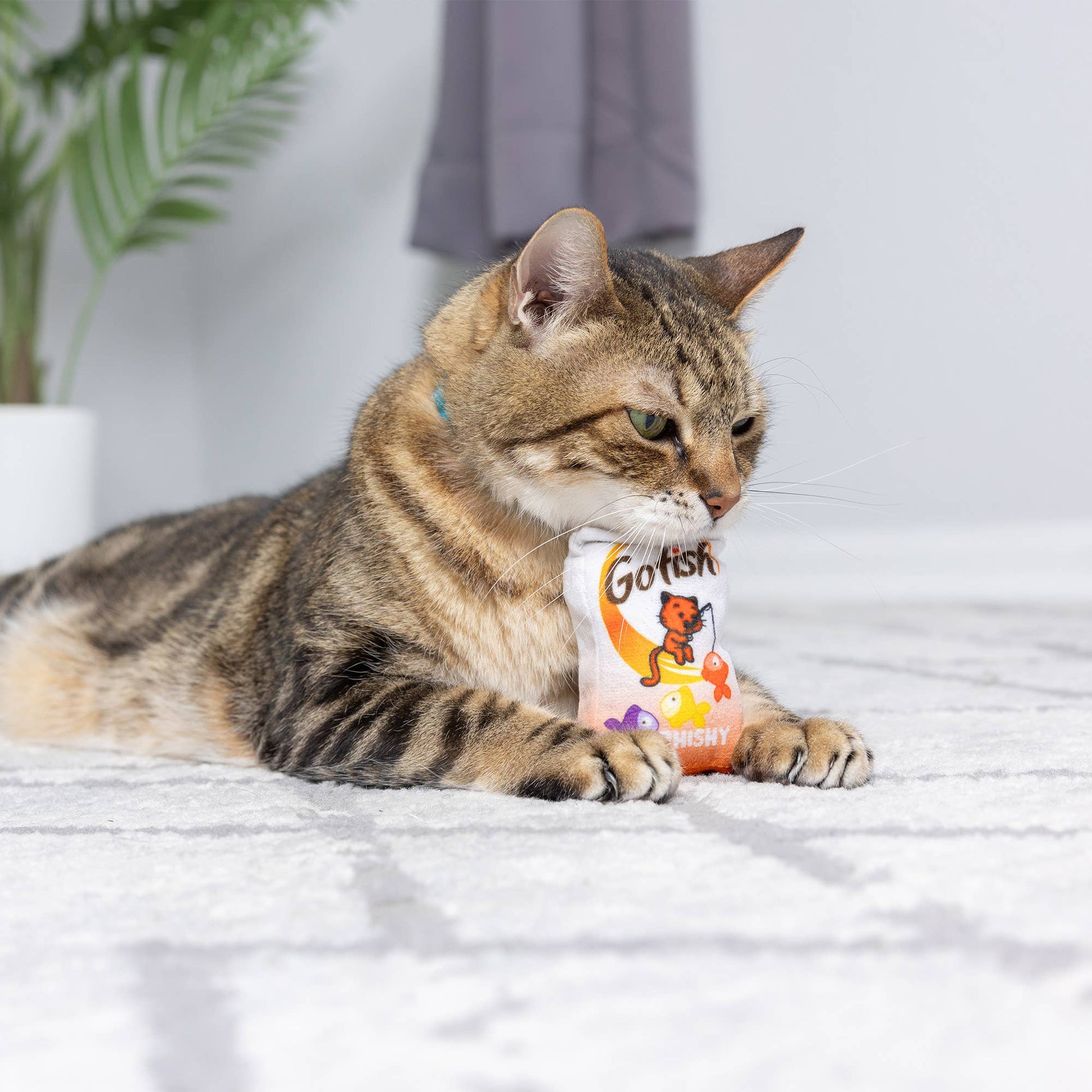 Plush cat toy with "Go Fish Phishy" design, featuring orange and white colors, held by a cat.