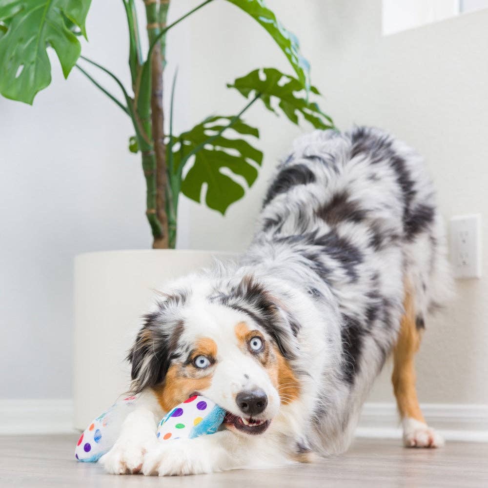 Plush bone-shaped dog toy with colorful polka dots and "It's My Barkday" text, designed for birthday gifts.