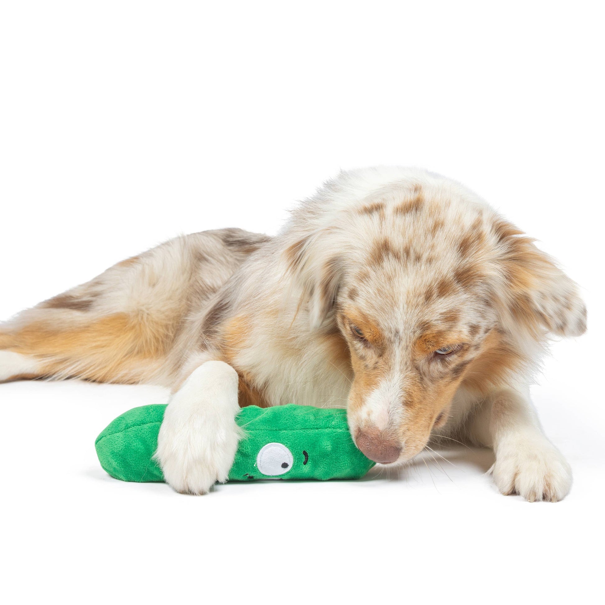 A green plush pickle-shaped dog toy with a cute face and a squeaker, held gently by a dog.