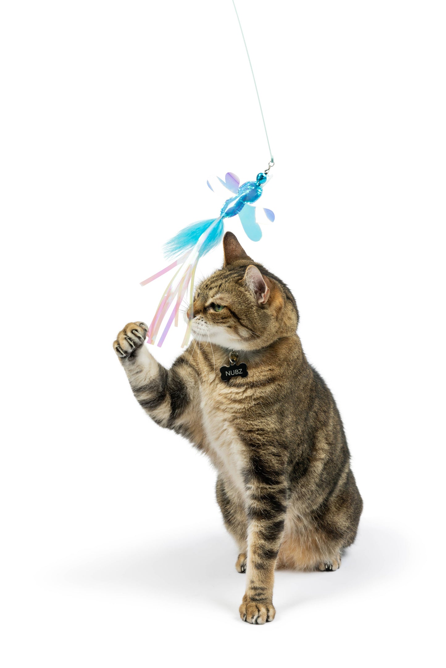 A blue wire dragonfly wand cat toy with colorful tassels, being playfully swatted by a tabby cat.