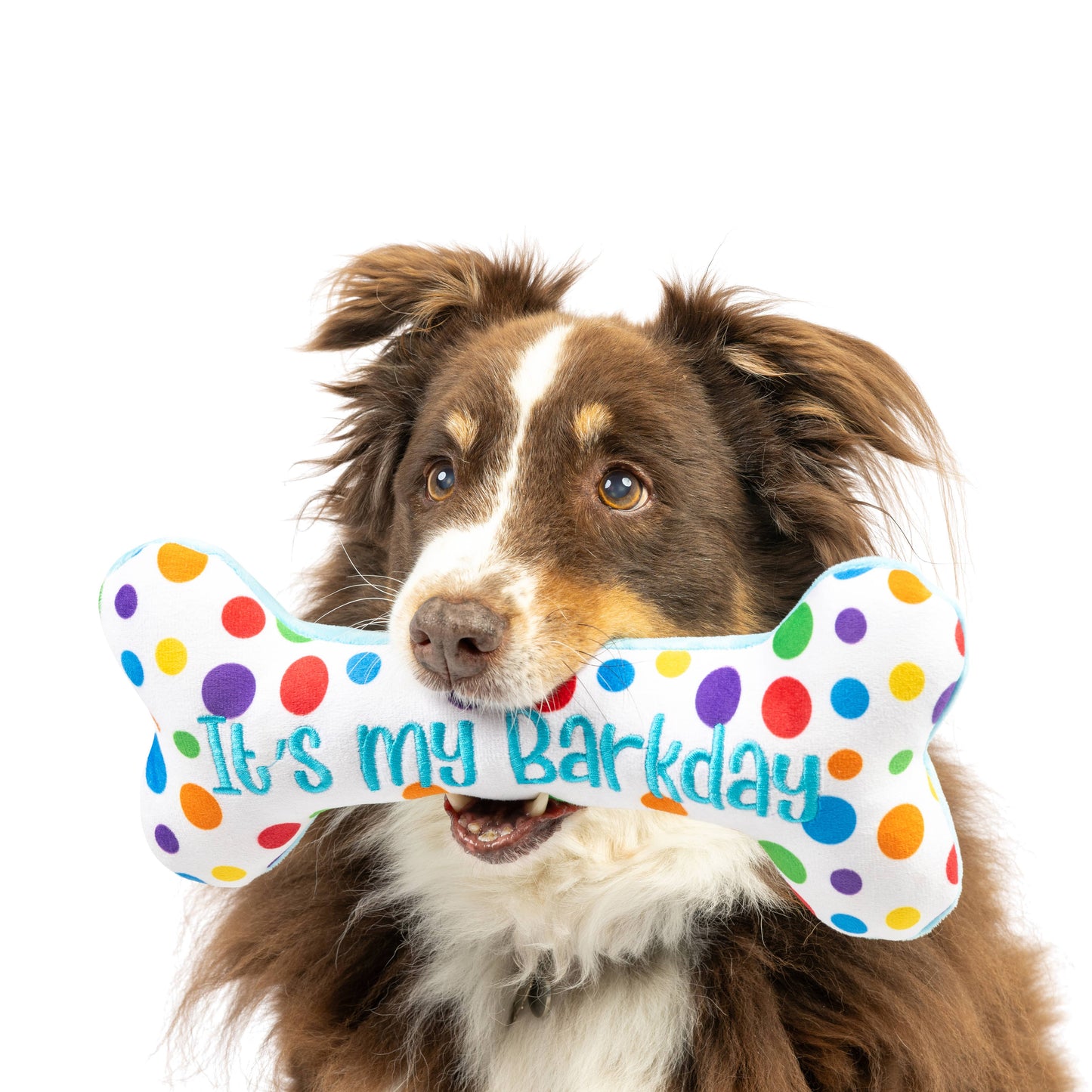 Plush Bone Dog Toy – Double-Sided 'It's My Barkday' Design | Birthday Gifts for Dogs