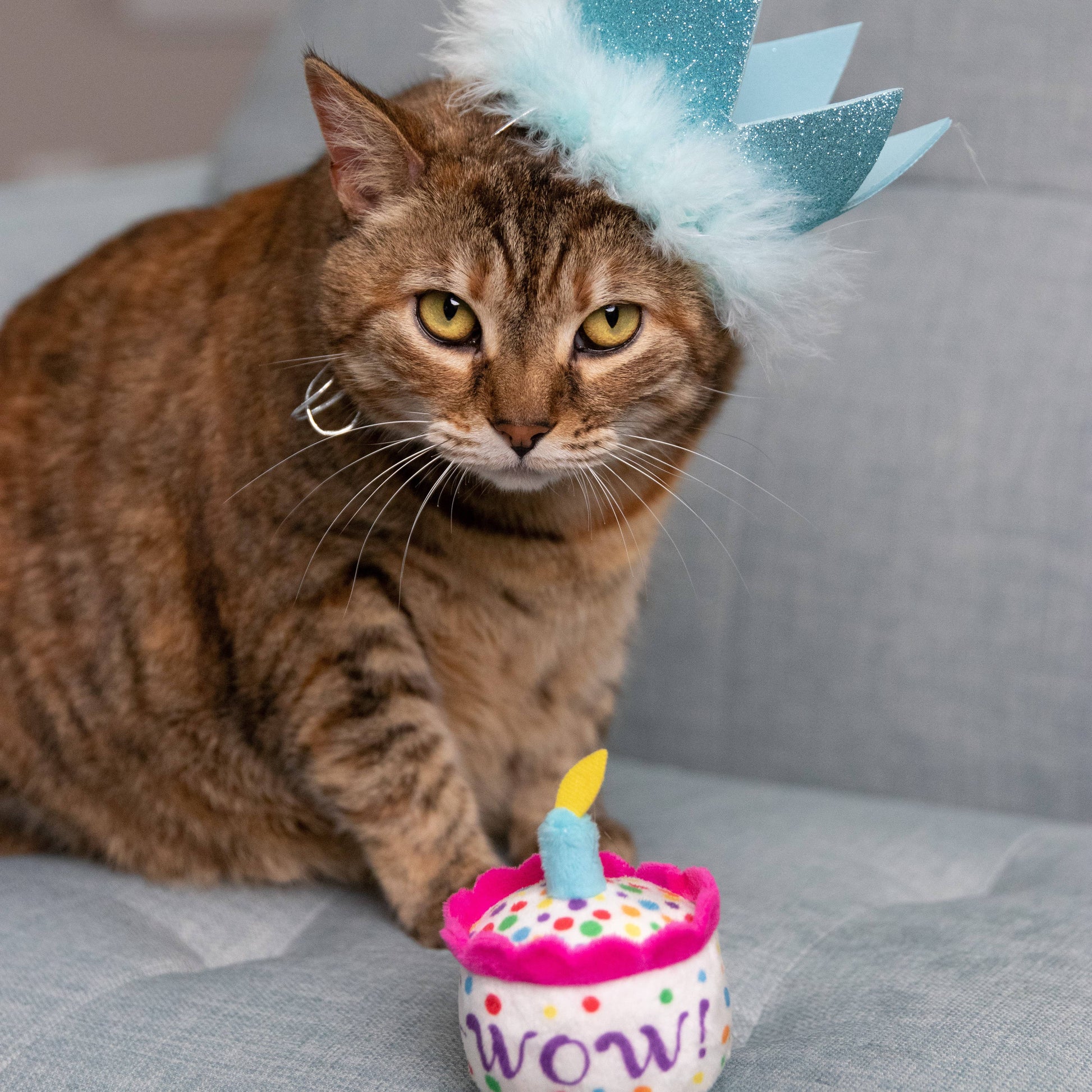 Plush cat toy shaped like a birthday cake with colorful polka dots, a yellow candle, and organic catnip.