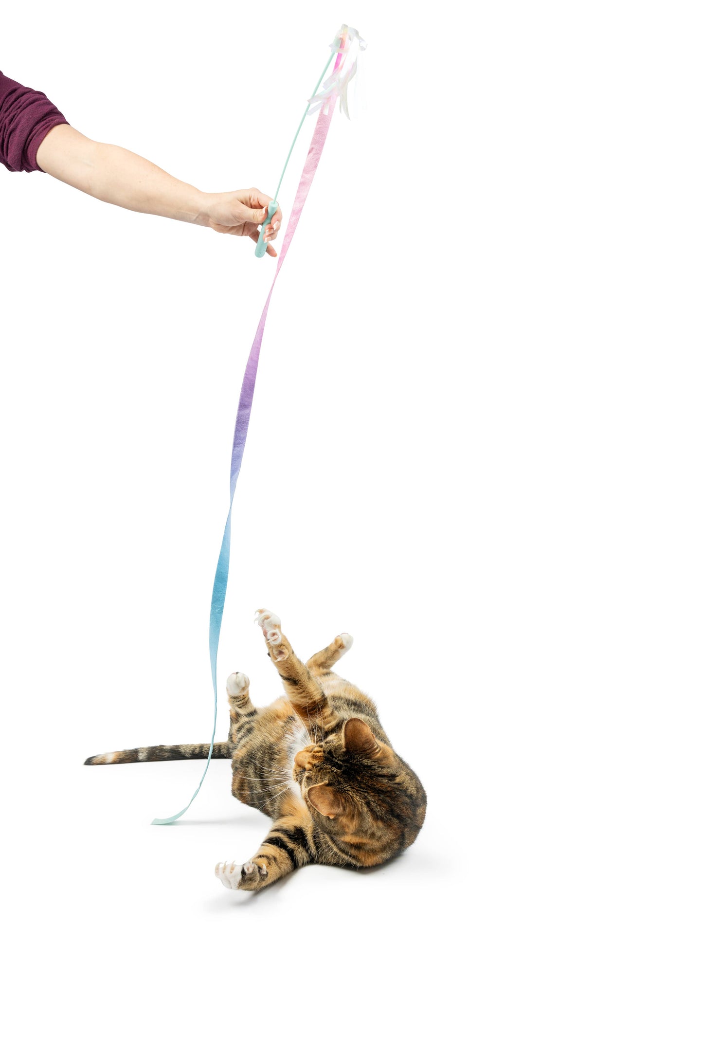 A playful cat wields a multicolored wand toy with crinkle and bell, designed for interactive play.