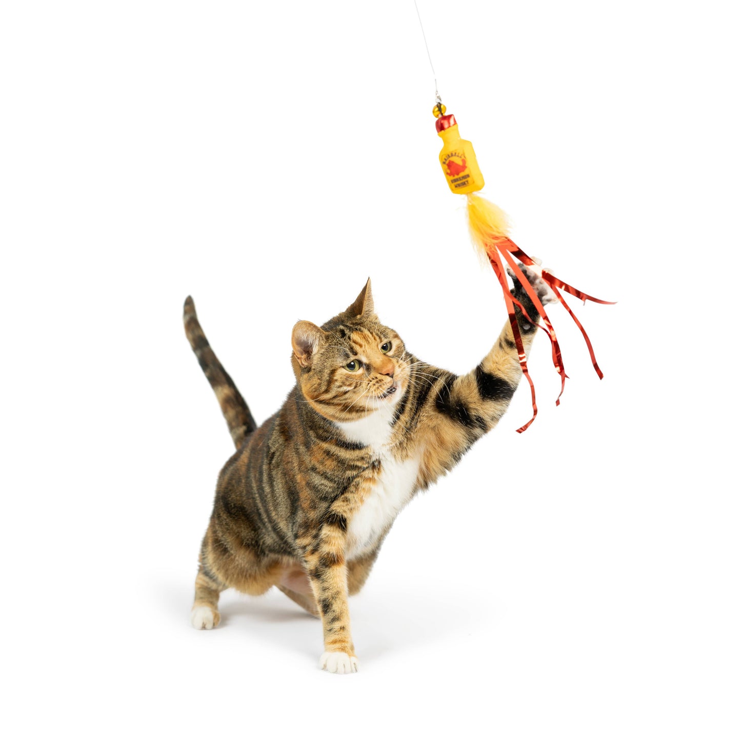 A playful cat swats at a red and yellow feather wand toy with a plush, catnip-scented bottle.