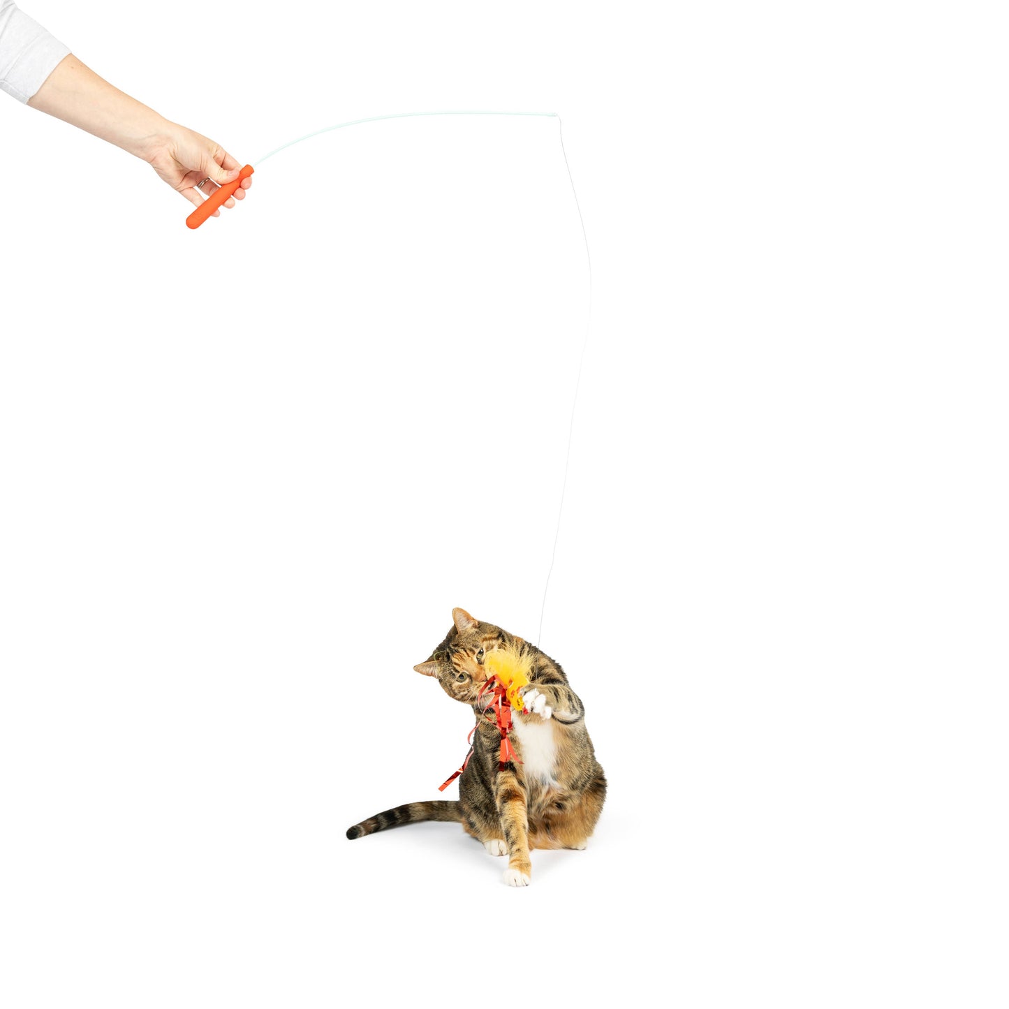 Interactive cat wand with red and yellow feathers and a plush catnip attachment, being played with by a tabby cat.