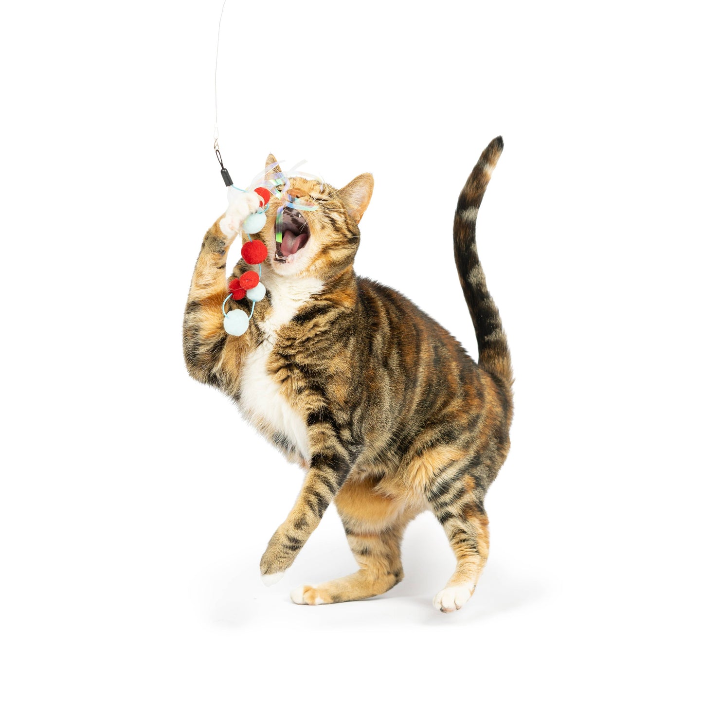 A playful cat batting at a wand toy with colorful pom-poms and tinsel streams.