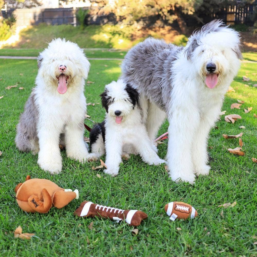 Brown and white football-shaped plush dog toy on grass near three sheepdogs.