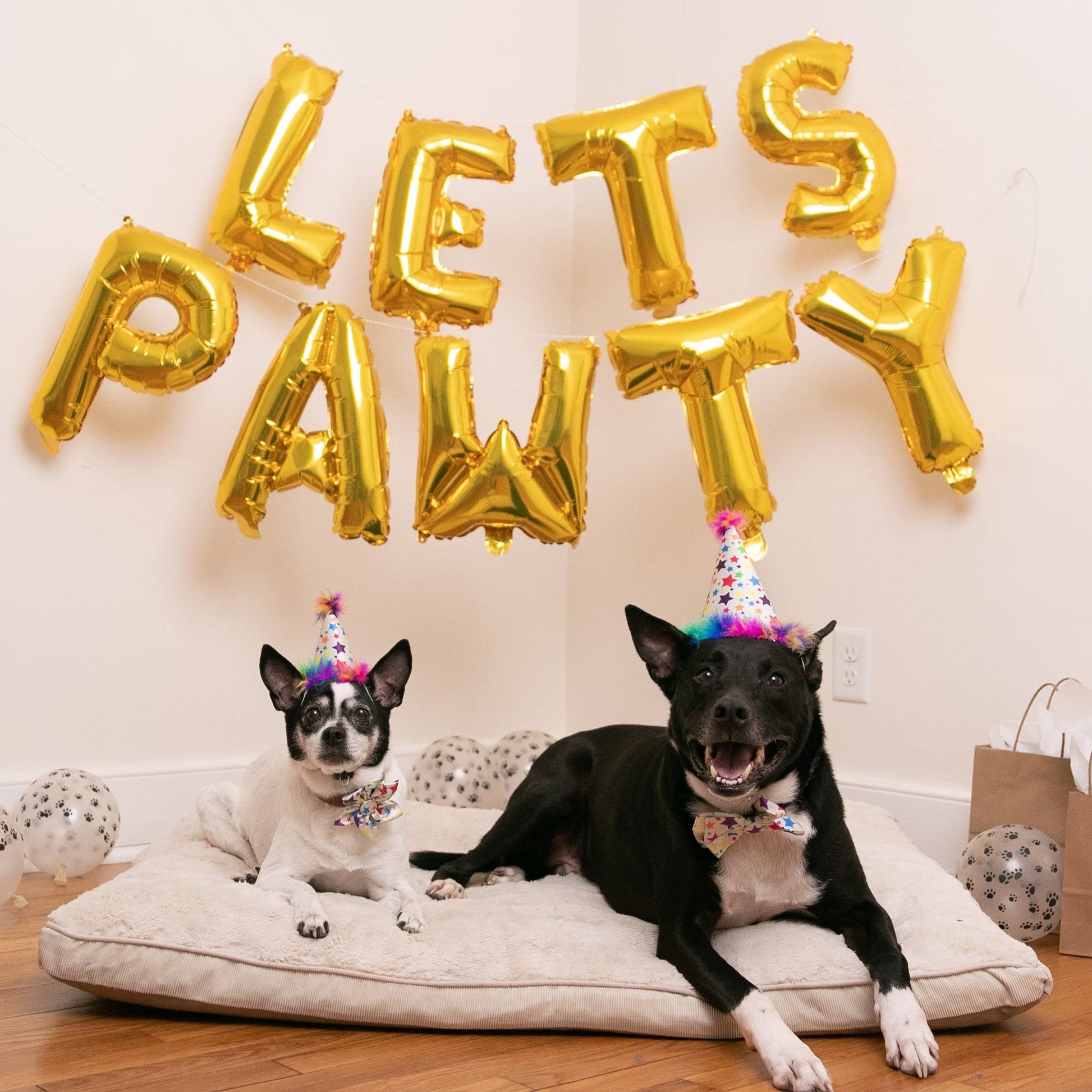 Dog party hats with rainbow star design, featuring SnugFit® for comfort and festive style.
