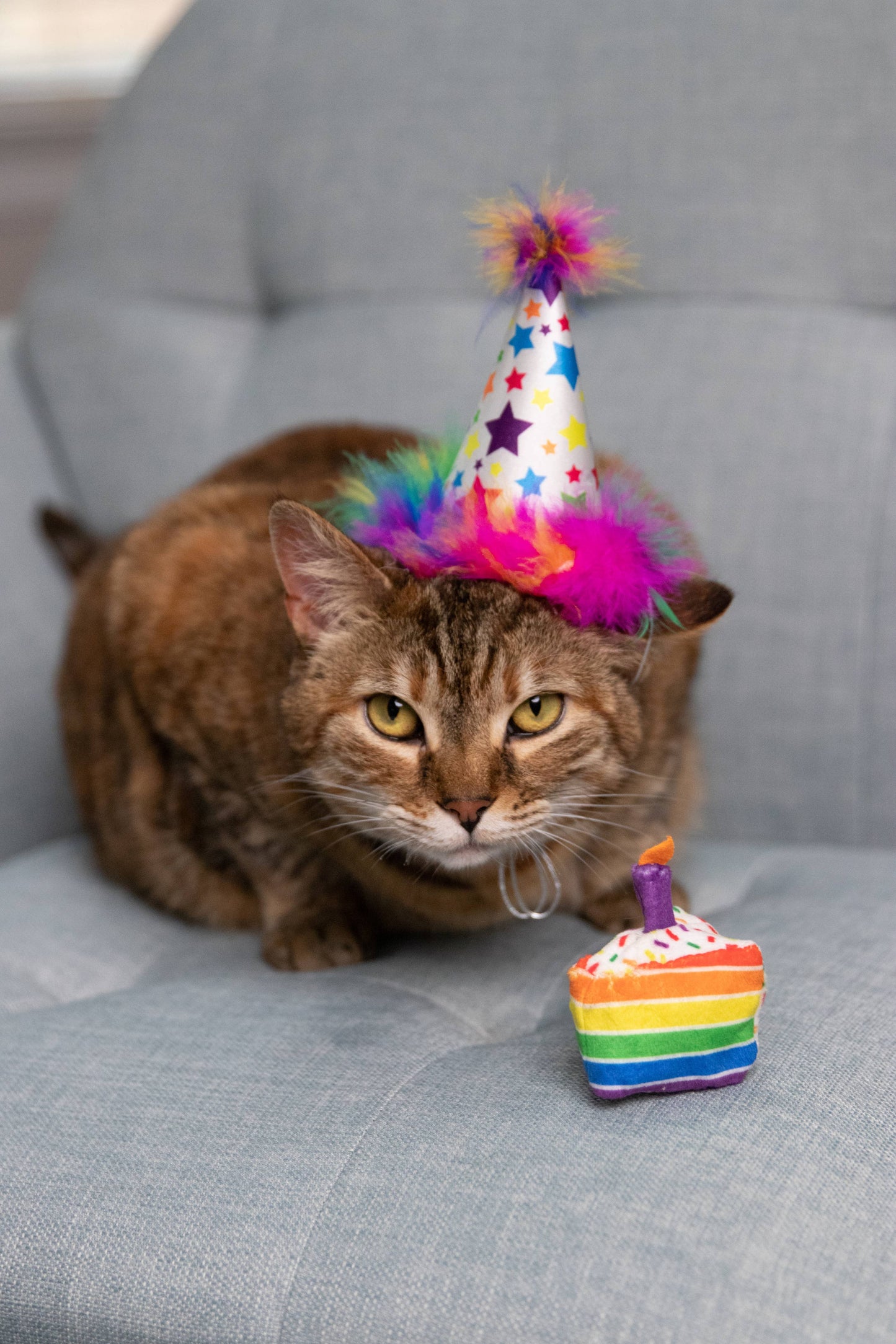 Colorful rainbow-striped funfetti cake cat toy with a purple candle, perfect for birthdays or Christmas.