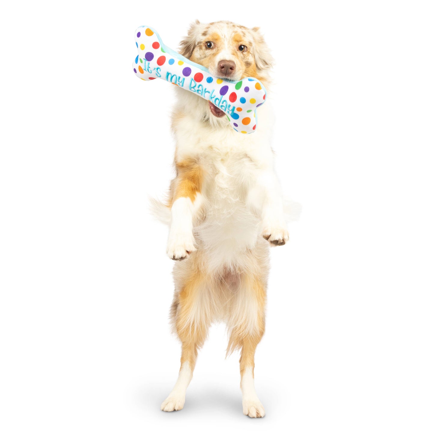Bone-shaped plush dog toy with multicolored polka dots, "It's My Barkday" text, played with by a dog.