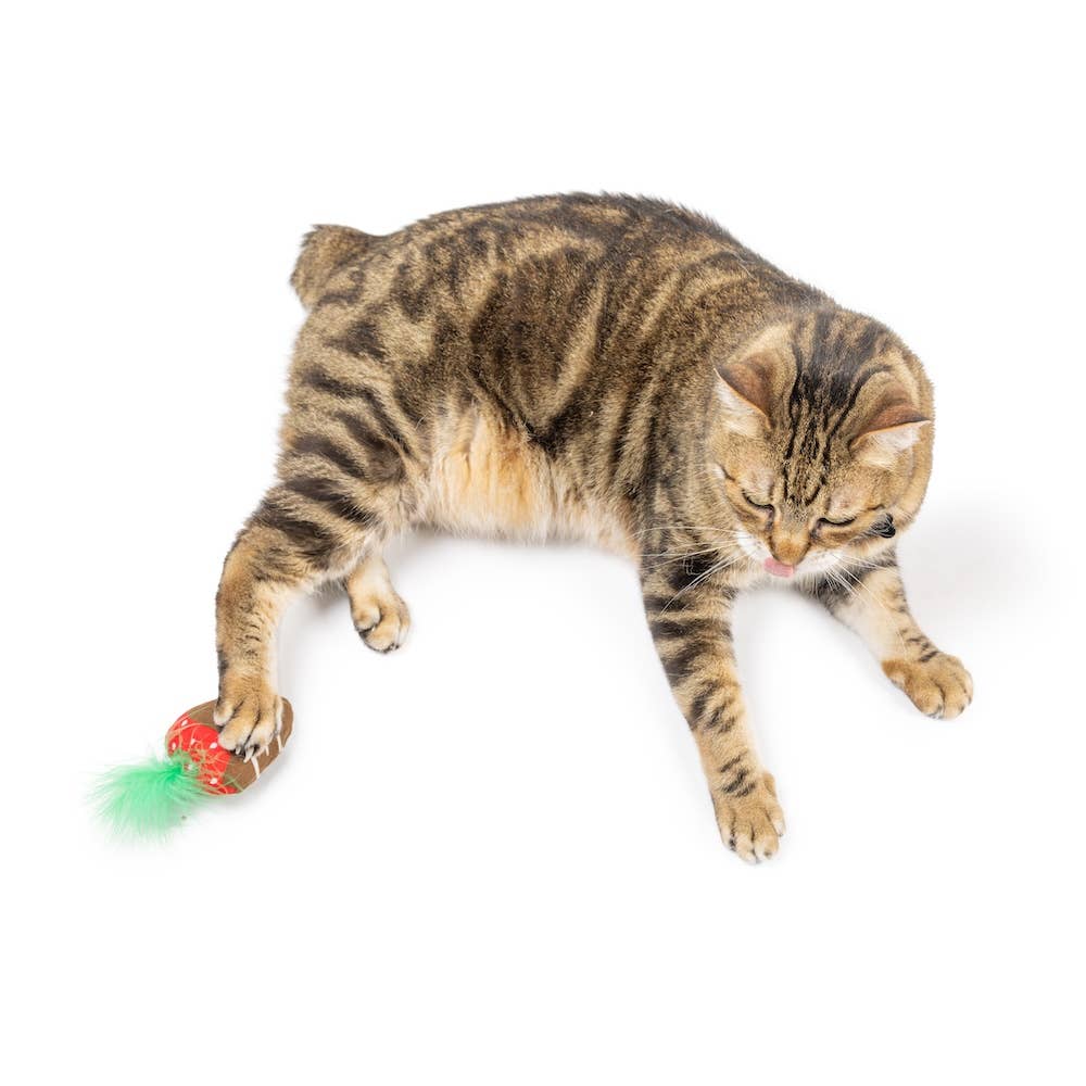 Brown and red crinkle cat toy with green feather, being pawed by a tabby cat.
