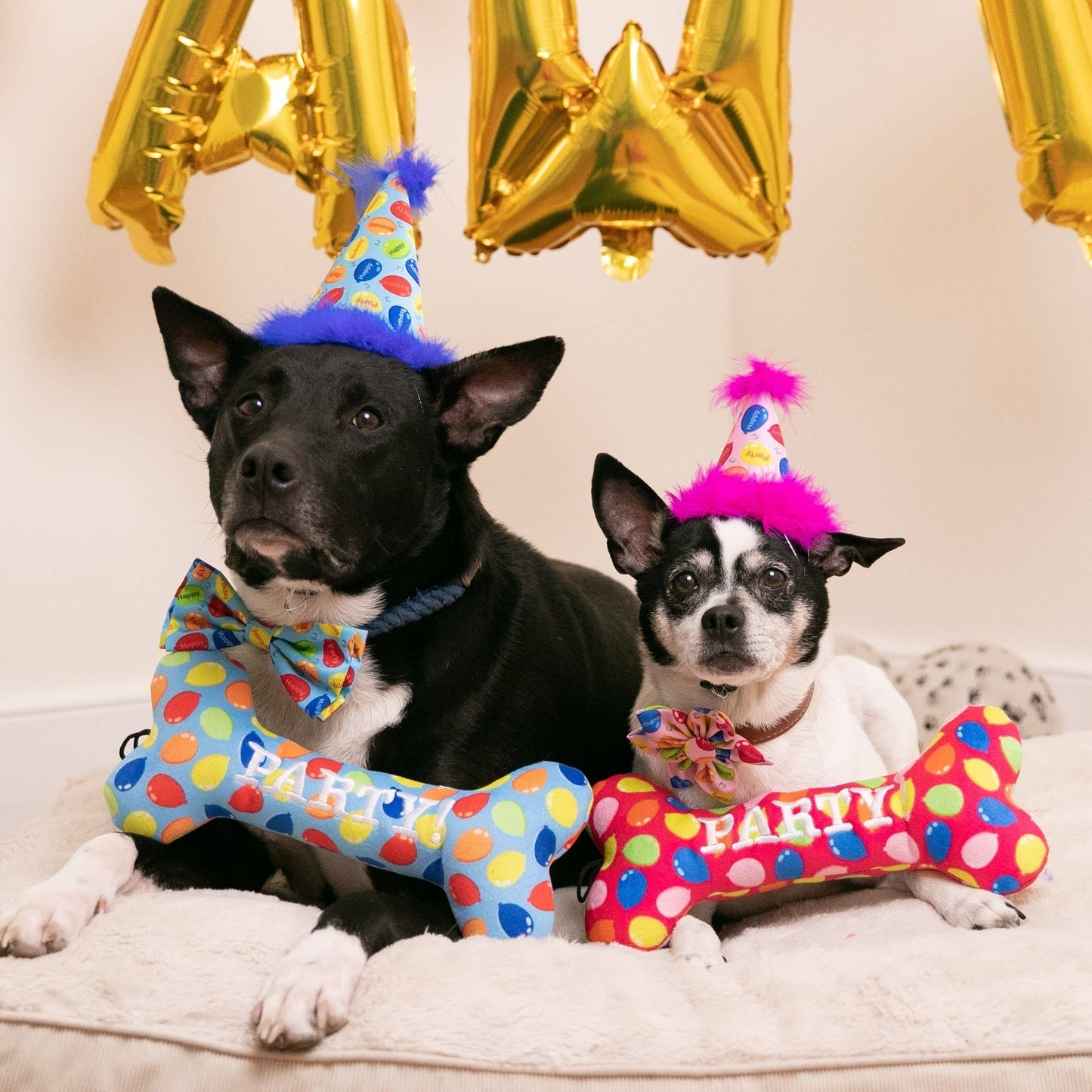 Dog party hats with blue and pink balloon prints and feather accents, paired with matching bone-shaped party toys.