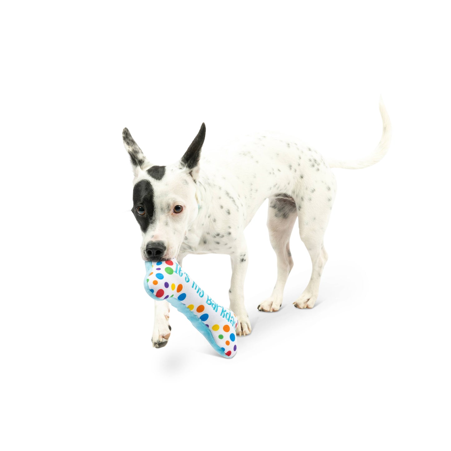 Plush Bone Dog Toy – Double-Sided 'It's My Barkday' Design | Birthday Gifts for Dogs